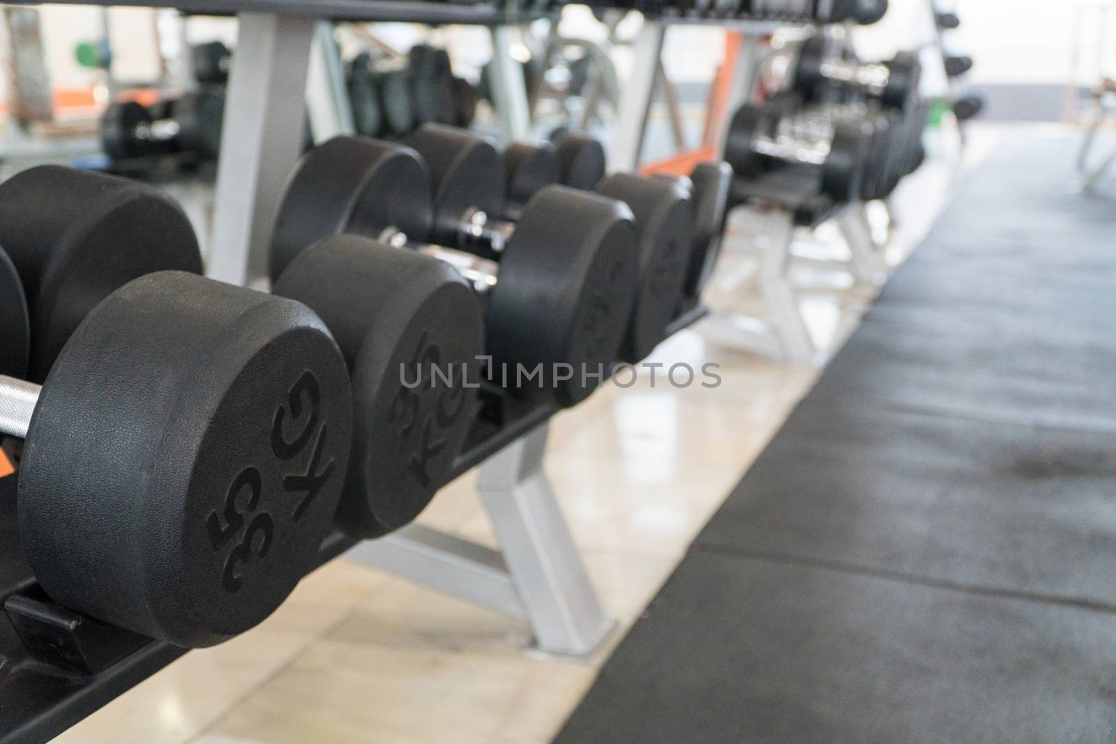 row of dumbbells in a modern gym
