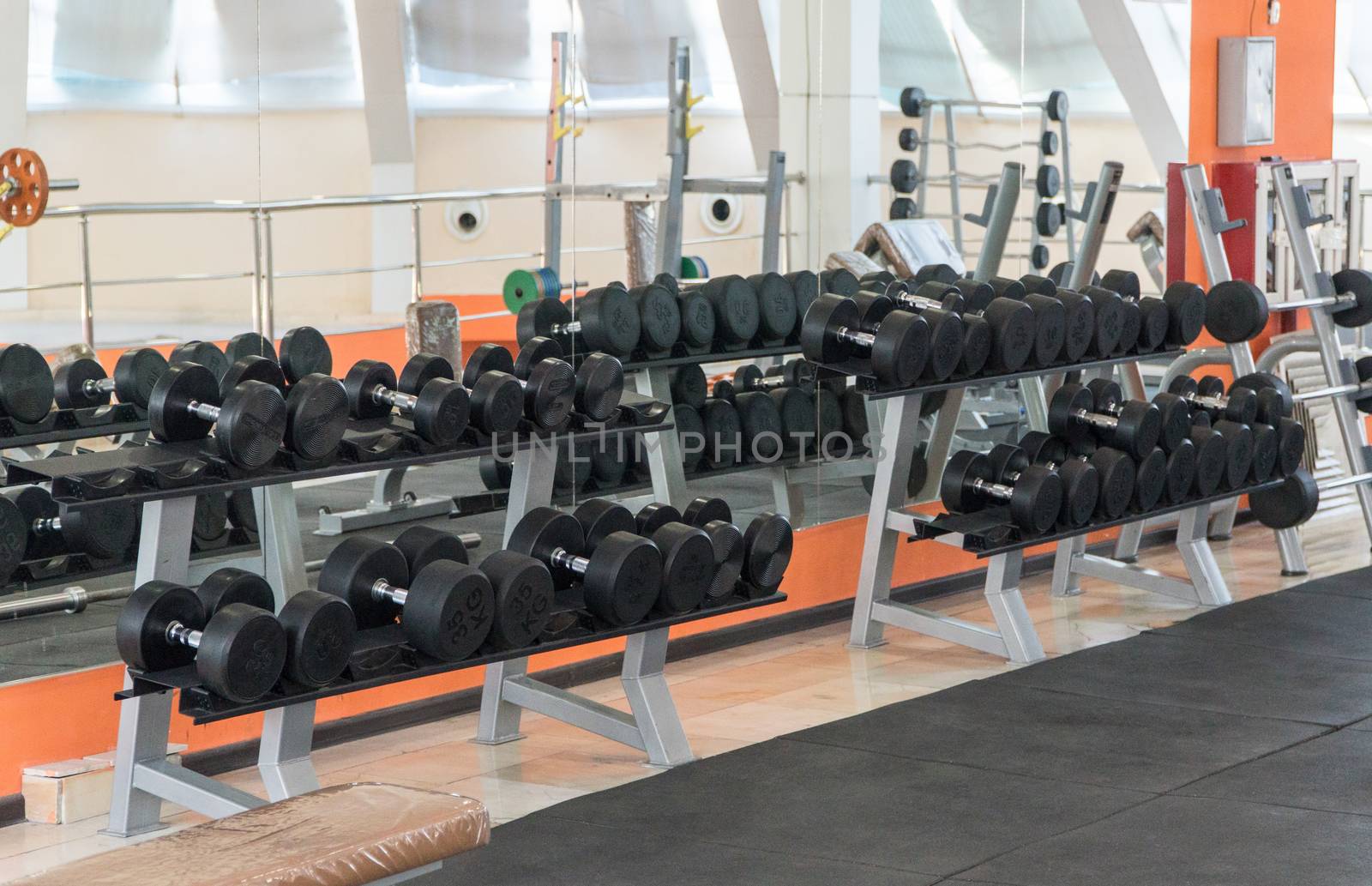 row of dumbbells in a modern gym