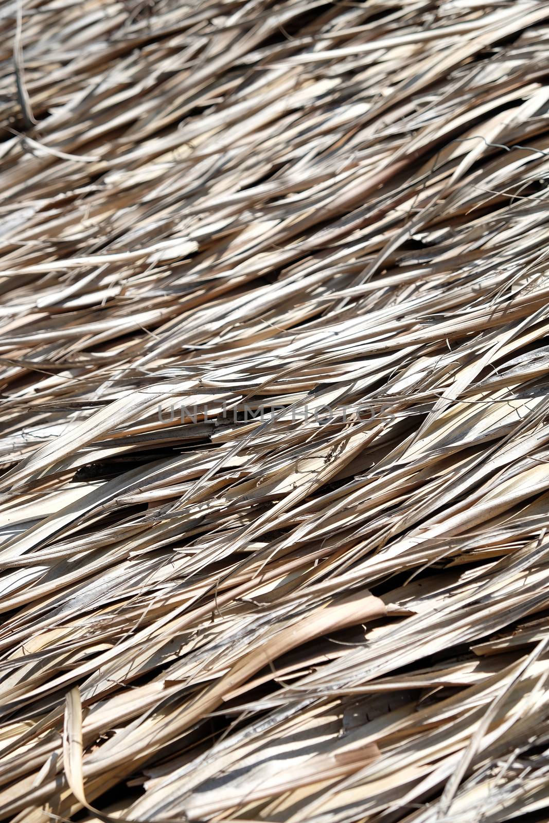 Detail of Thatch straw roof background