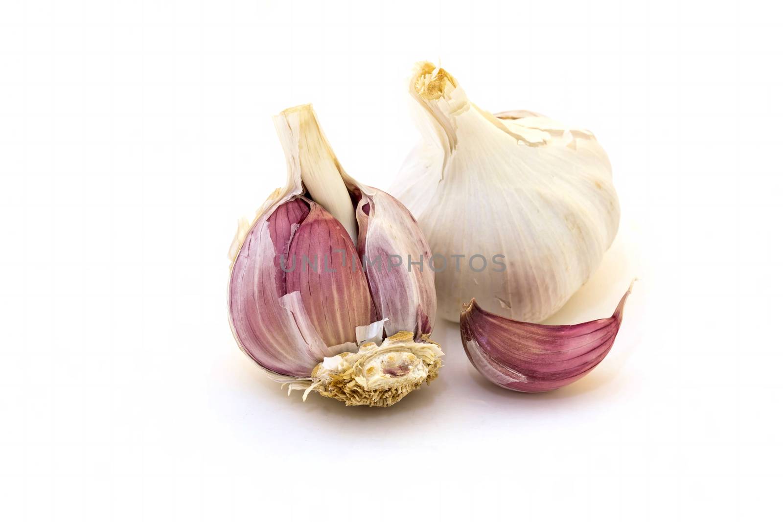 Healthy garlic on the white background