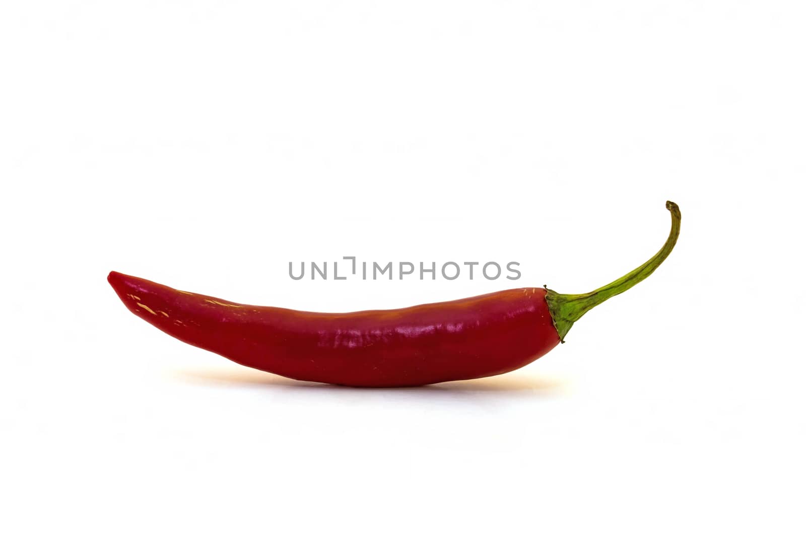 Chili pepper by Digoarpi