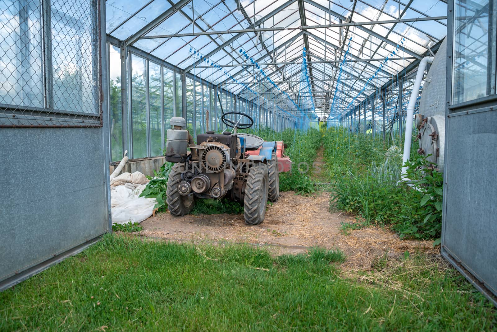 greenhouse on the farm for growing healthy vegetables without chemistry in organic quality by Edophoto
