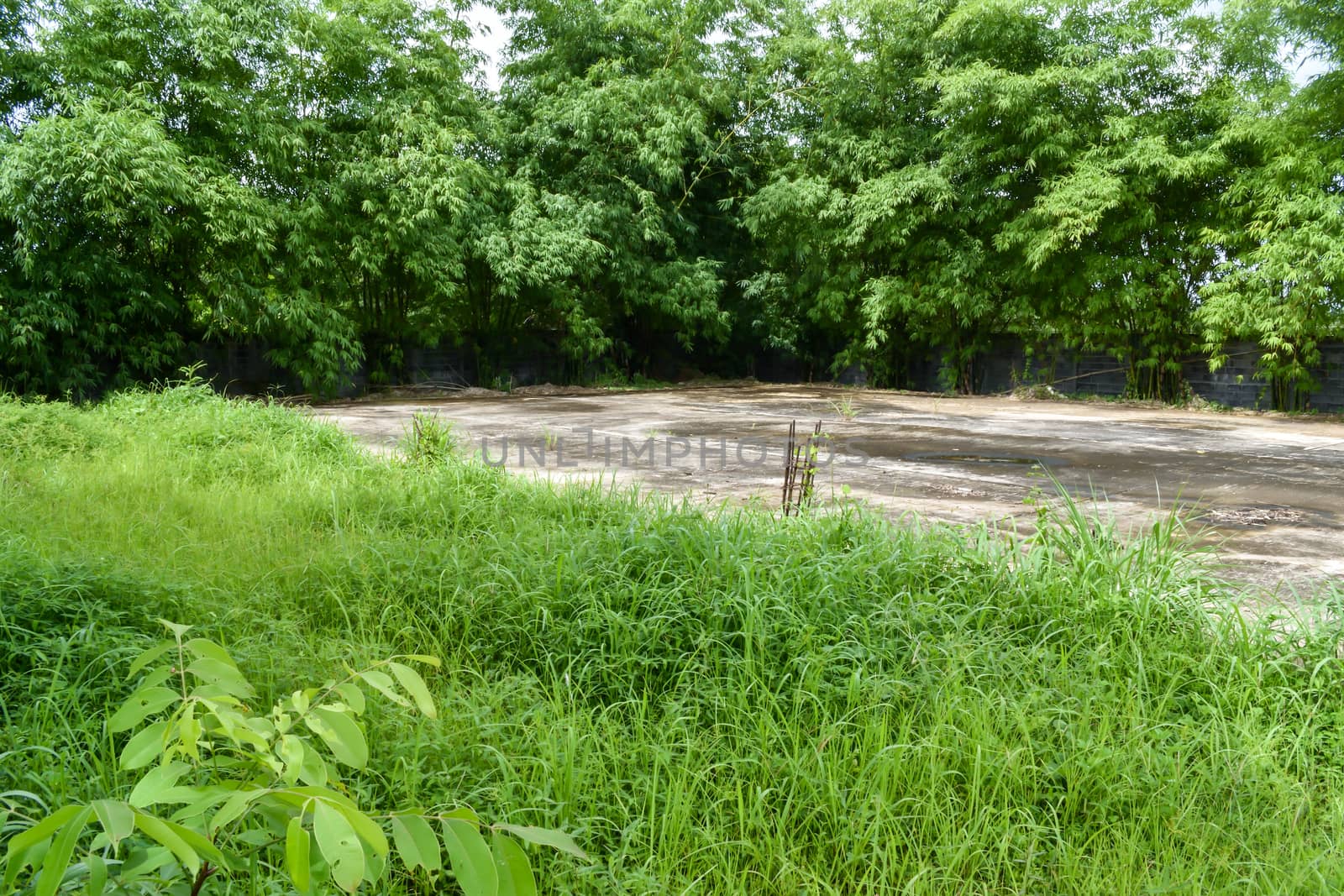 Mortar floor in the wilderness and the grass are abundant.