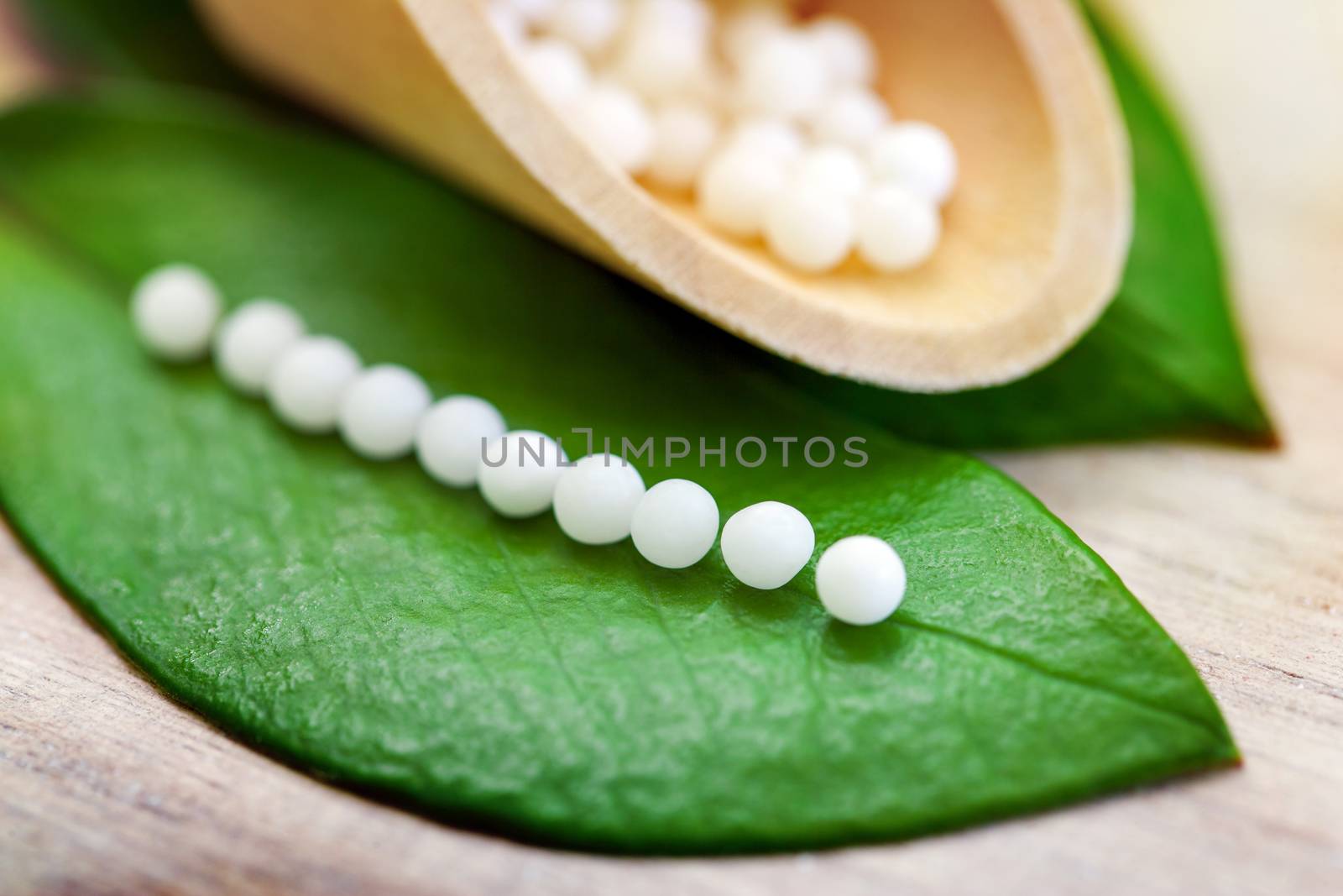 Homeopathic pills on leaf. by karelnoppe