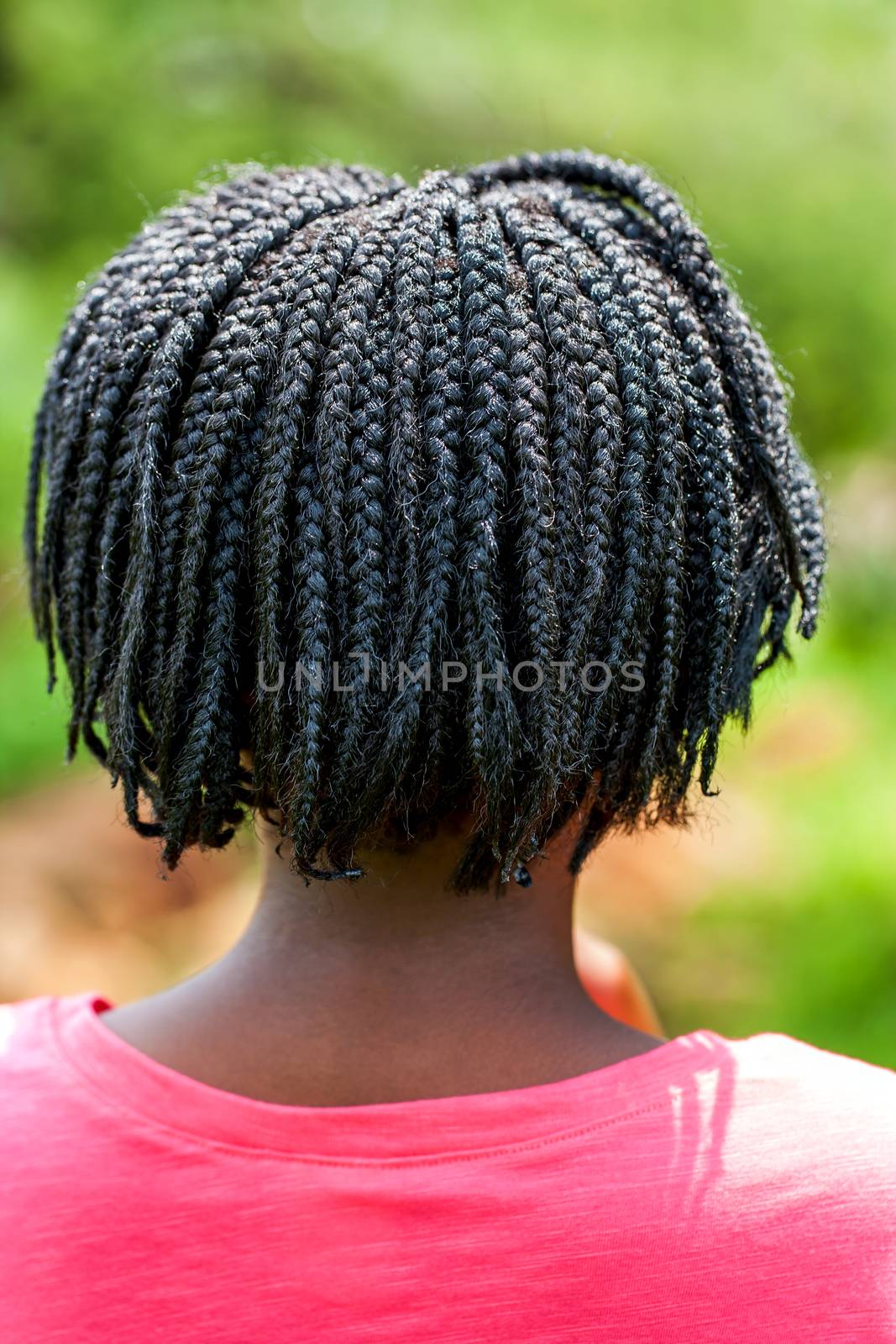 Rear view of African girl with braided hair. by karelnoppe
