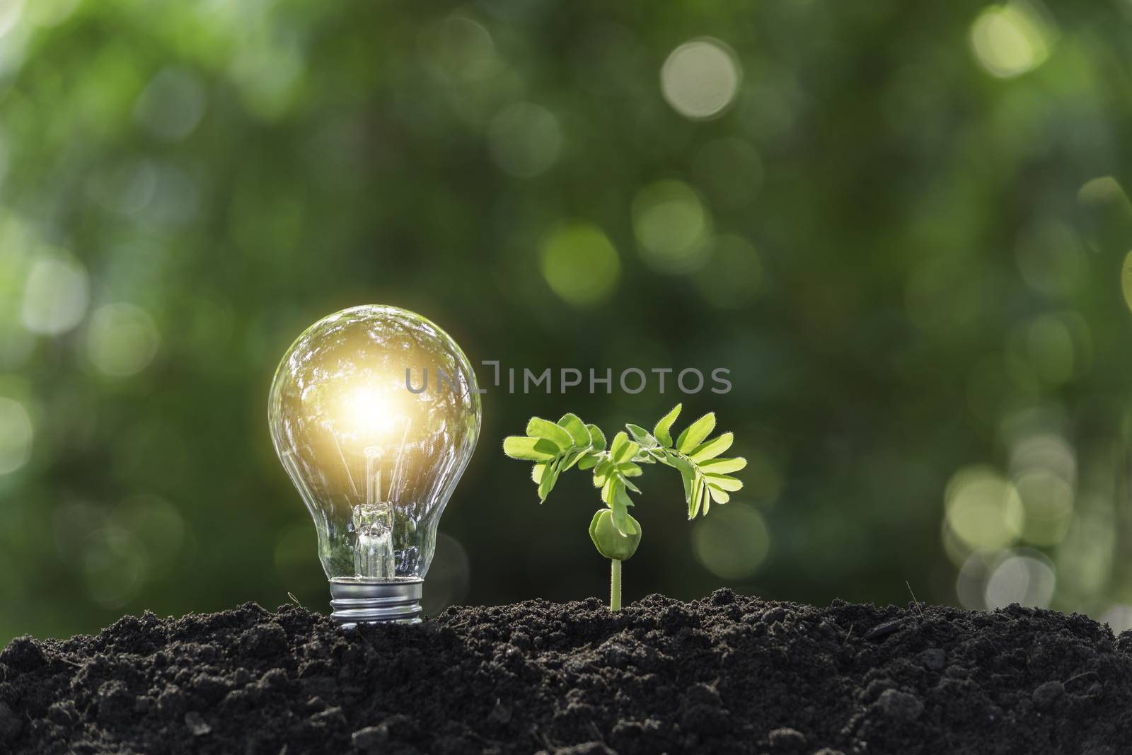 Light bulbs with glowing one. technology and energy concept with light bulbs.