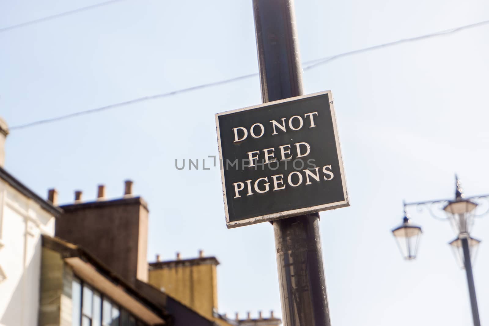 Do not feed the pigeons sign in market place Kendal by paddythegolfer