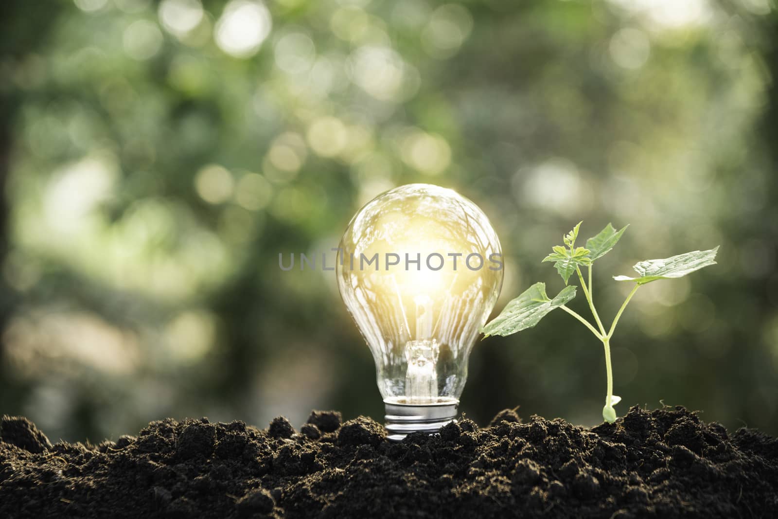 Light bulbs with glowing one. technology and creativity concept with light bulbs and copy space for insert text
