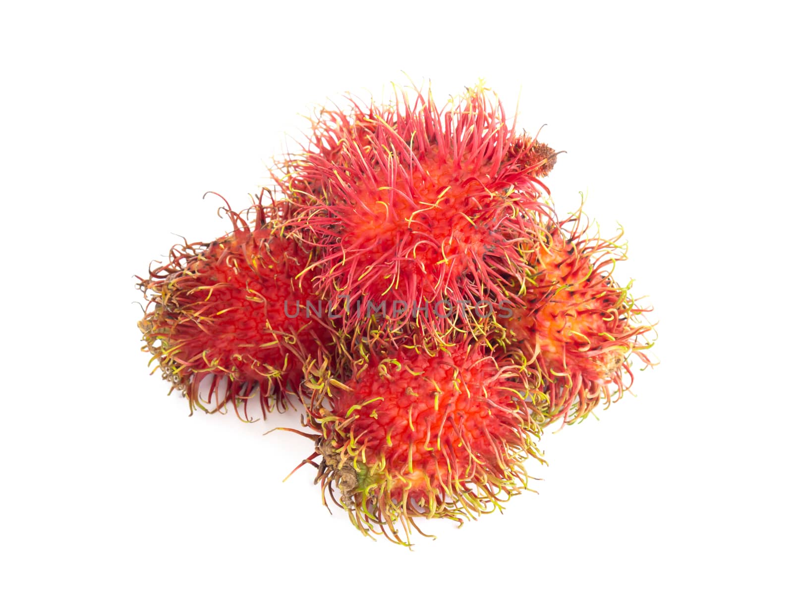 Fresh rambutan fruit isolated on white background by pt.pongsak@gmail.com