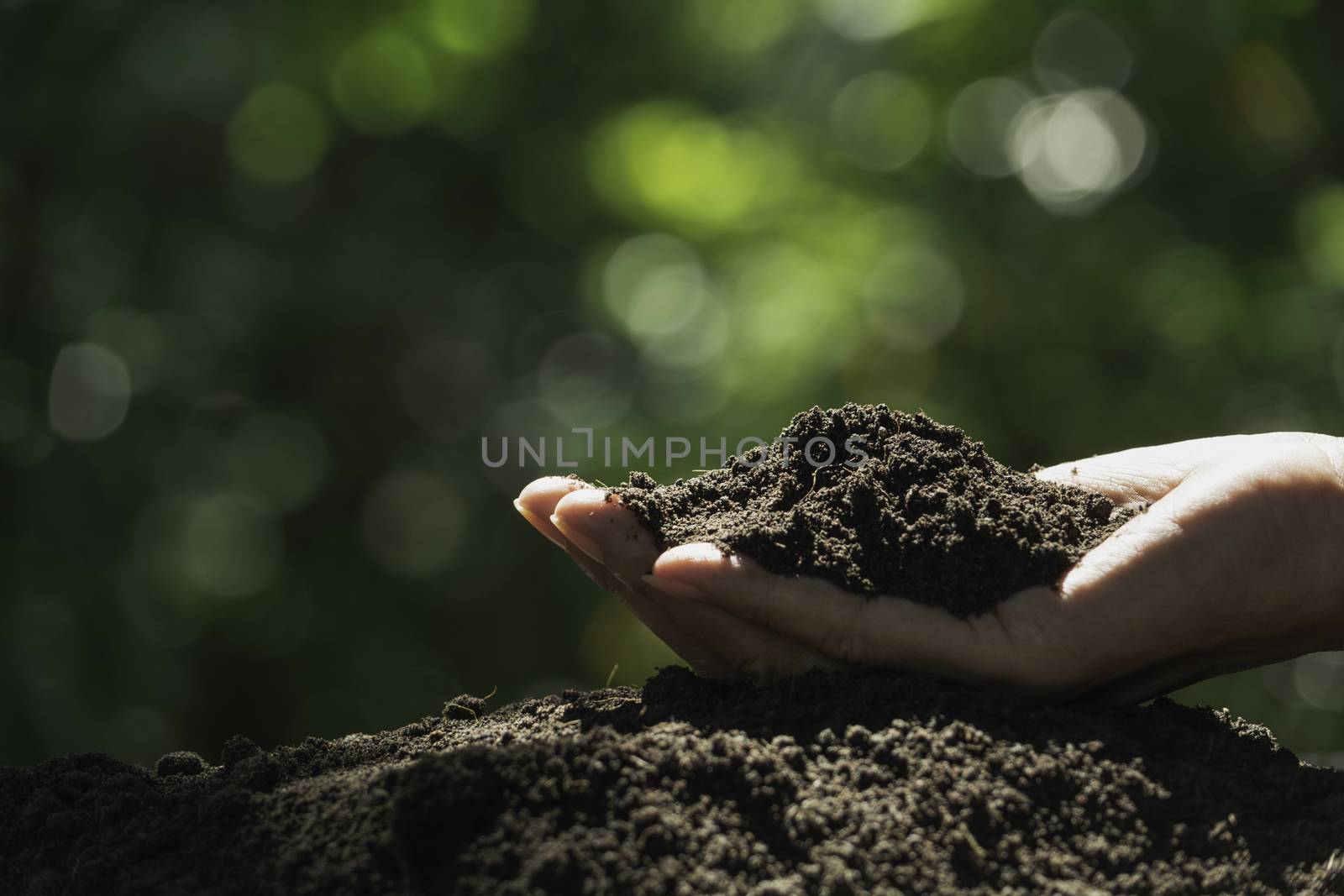 Hand of male holding soil in the hands for planting.