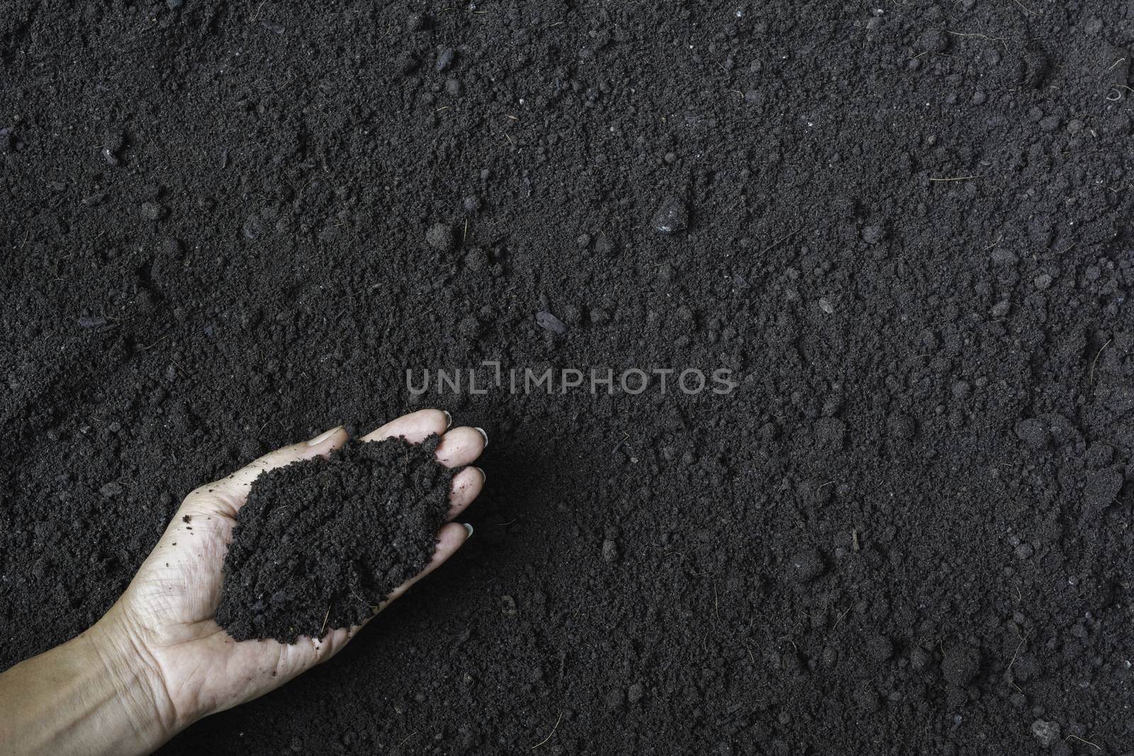 Male holding soil in the hands for planting concept.