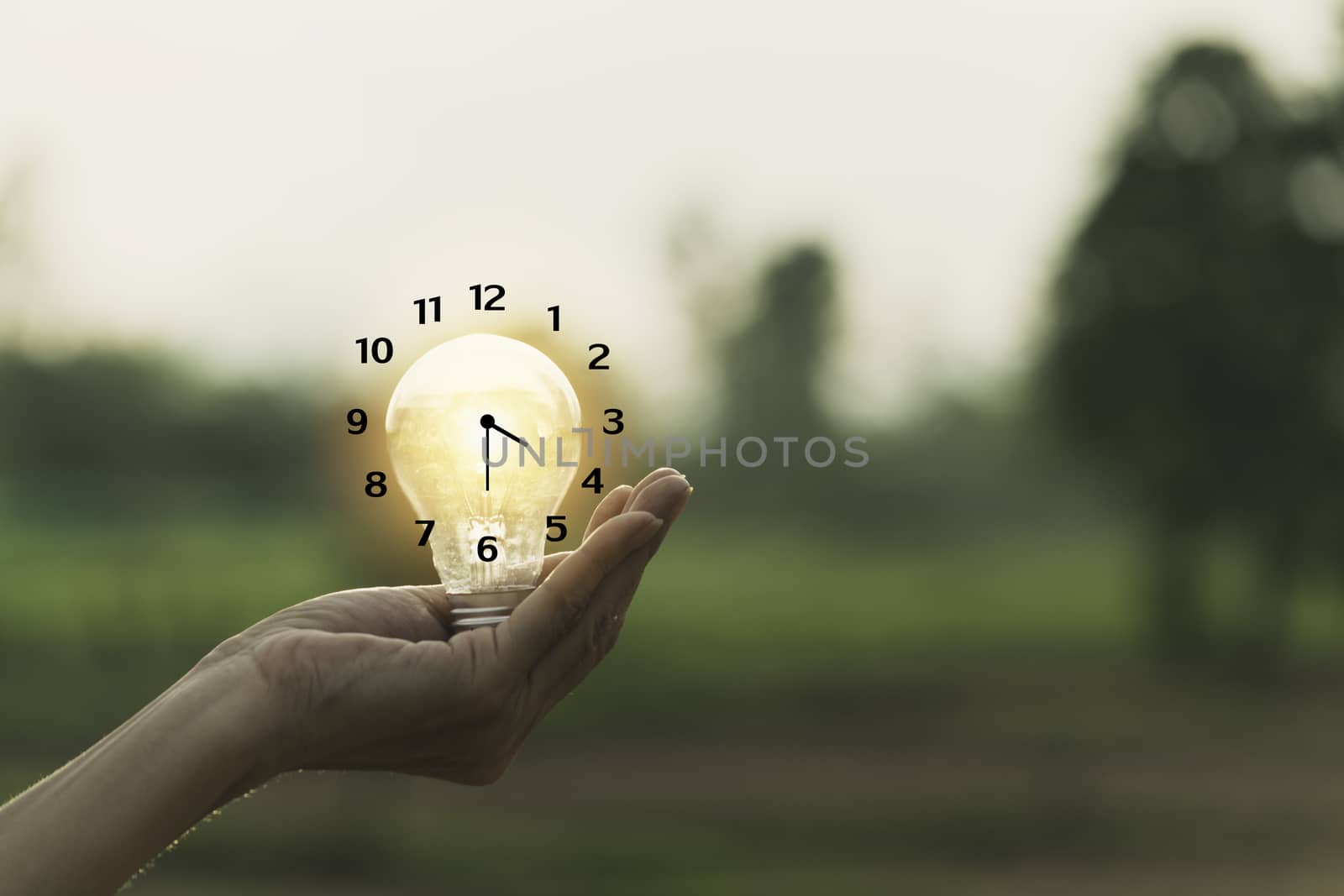 Innovation or creative concept of hand hold a light bulb and copy space for insert text.