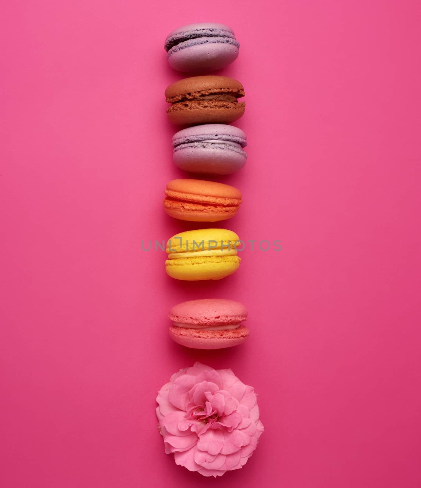 sweet multi-colored macarons with cream and a pink rose bud on a pink background, top view, flat lay, copy space 