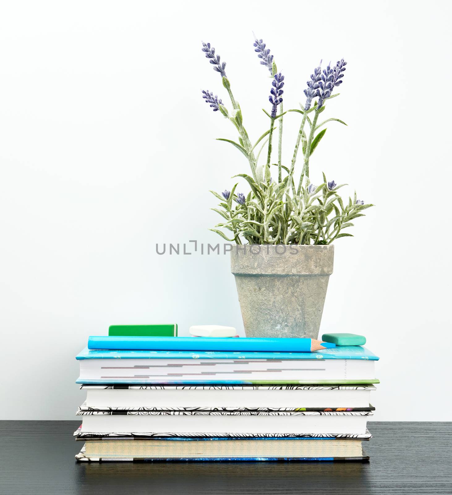 notebooks with white pages and ceramic pots with plants on a black table, white wall, minimalism in Scandinavian style