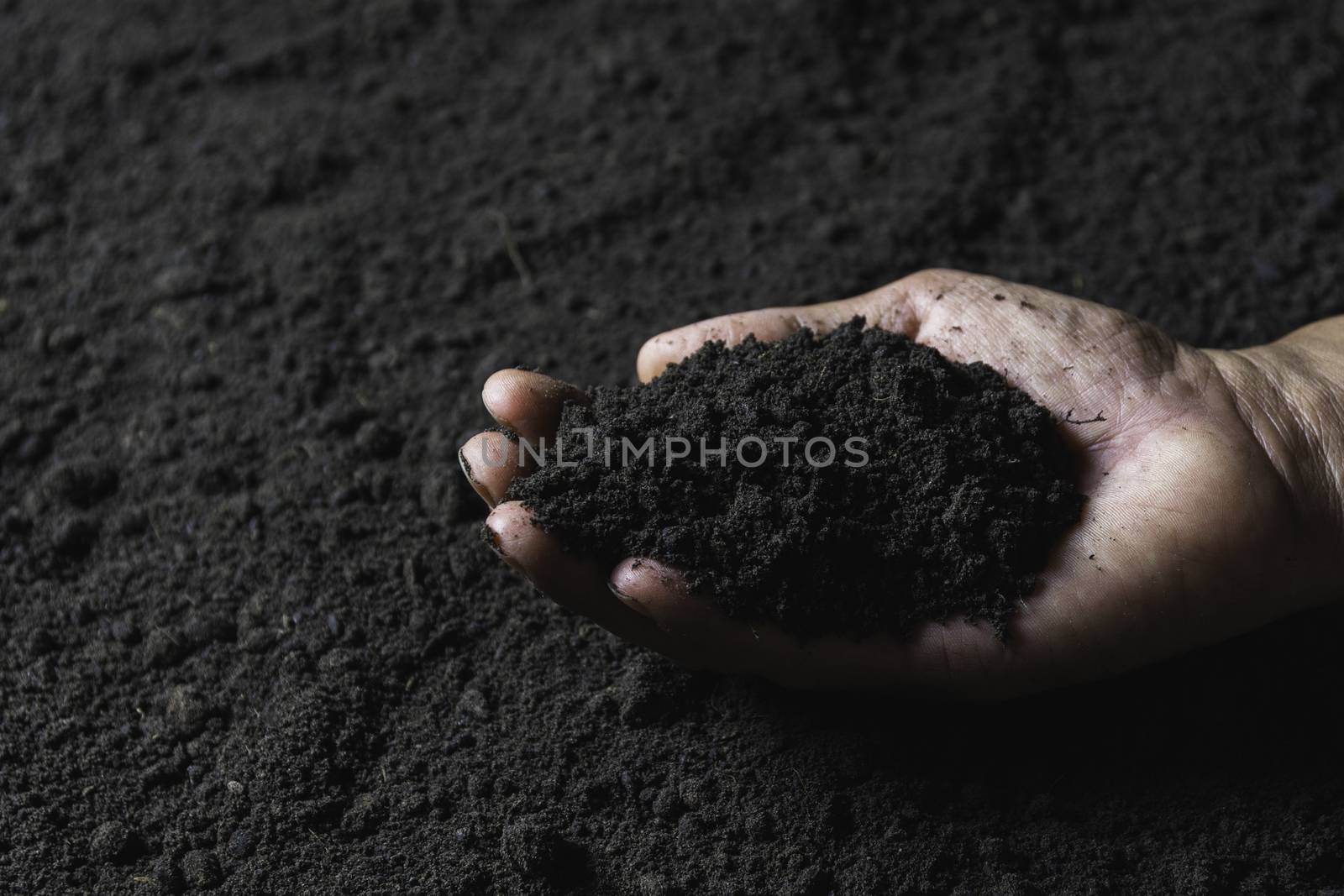 Hand of male holding soil in the hands for planting with copy space for insert text.