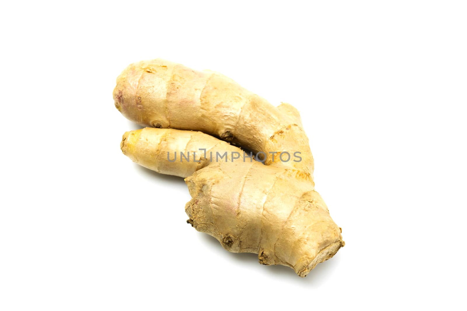 Fresh ginger root isolated on white background. Food and healthy concept
