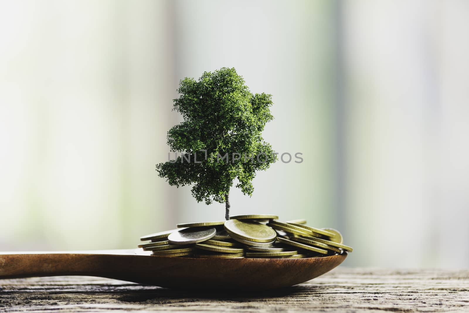 Human hands holding green small plant with coins for business and ecology concept.