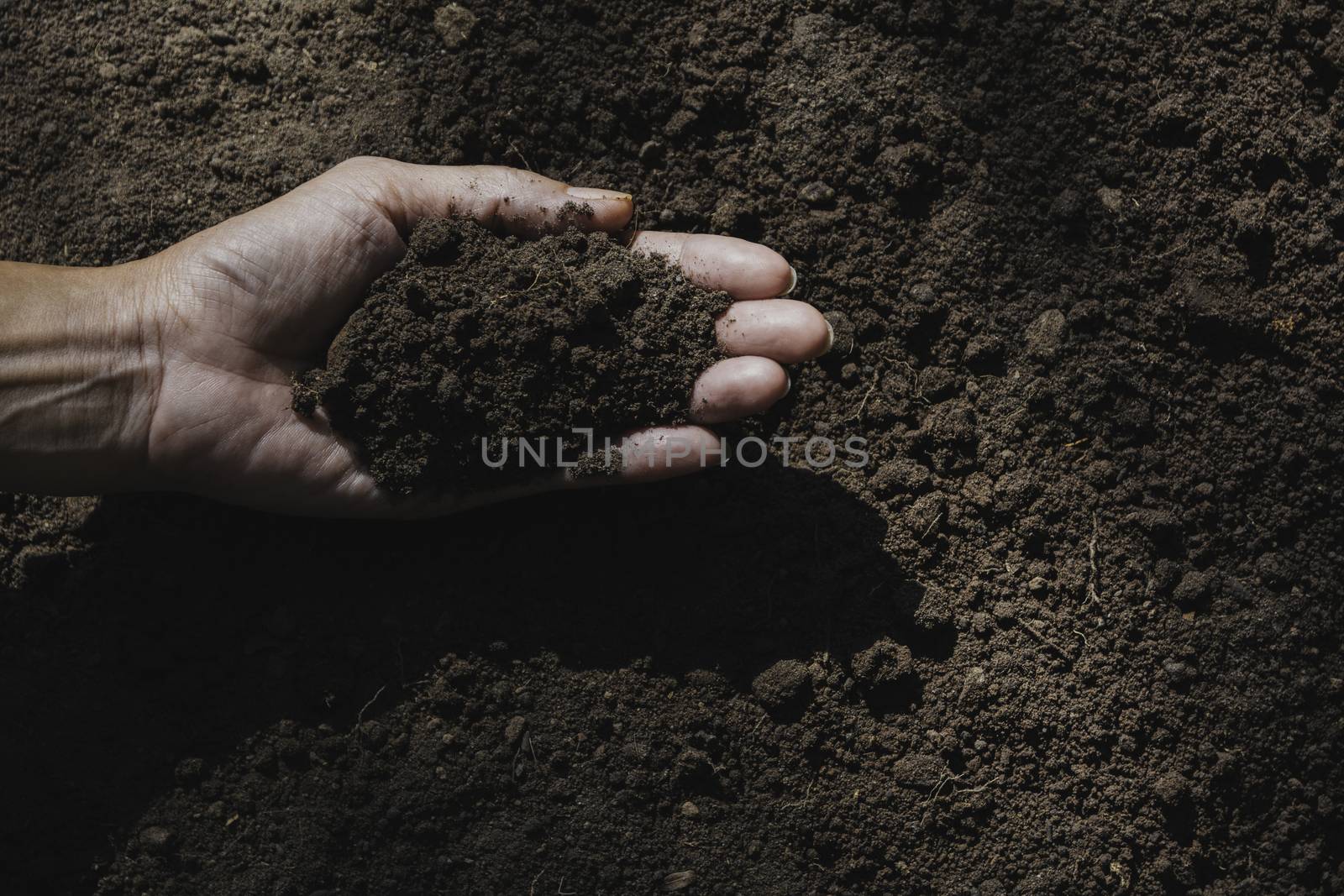 Hand of male holding soil in the hands for planting with copy space for insert text.