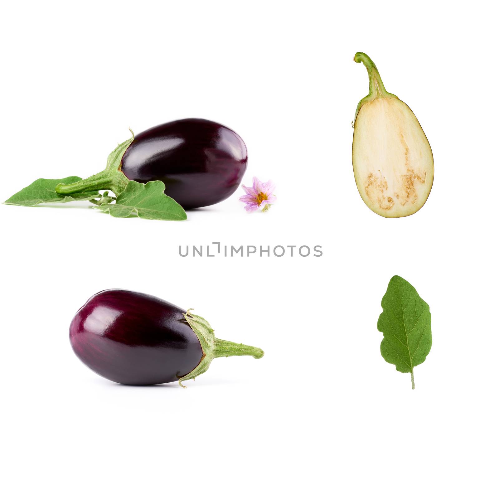 whole eggplant vegetable set, half and green leaves on a white background, autumn harvest