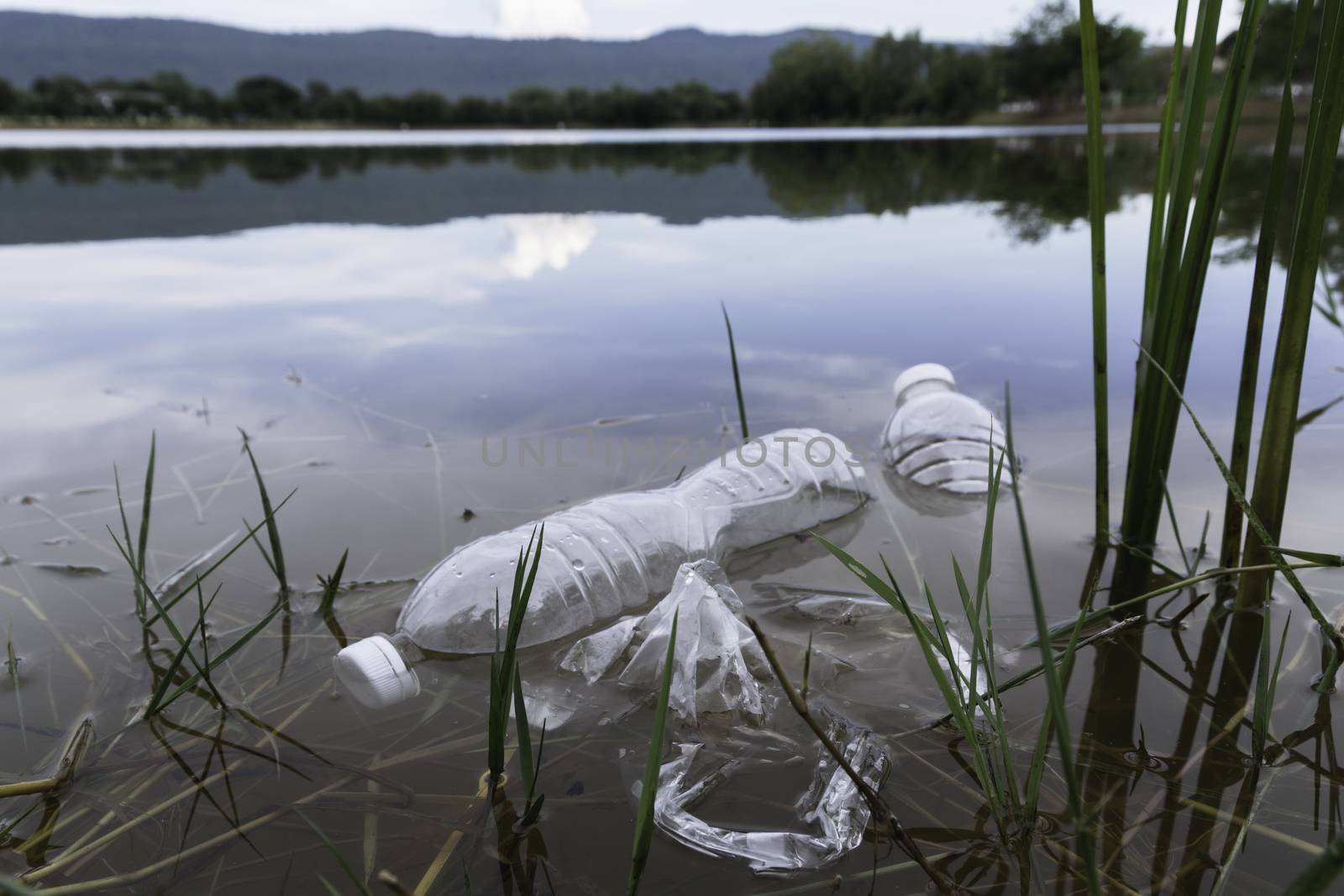 Plastic water bottles pollution in the river. Plastic trash in water. Environmental pollution concept.