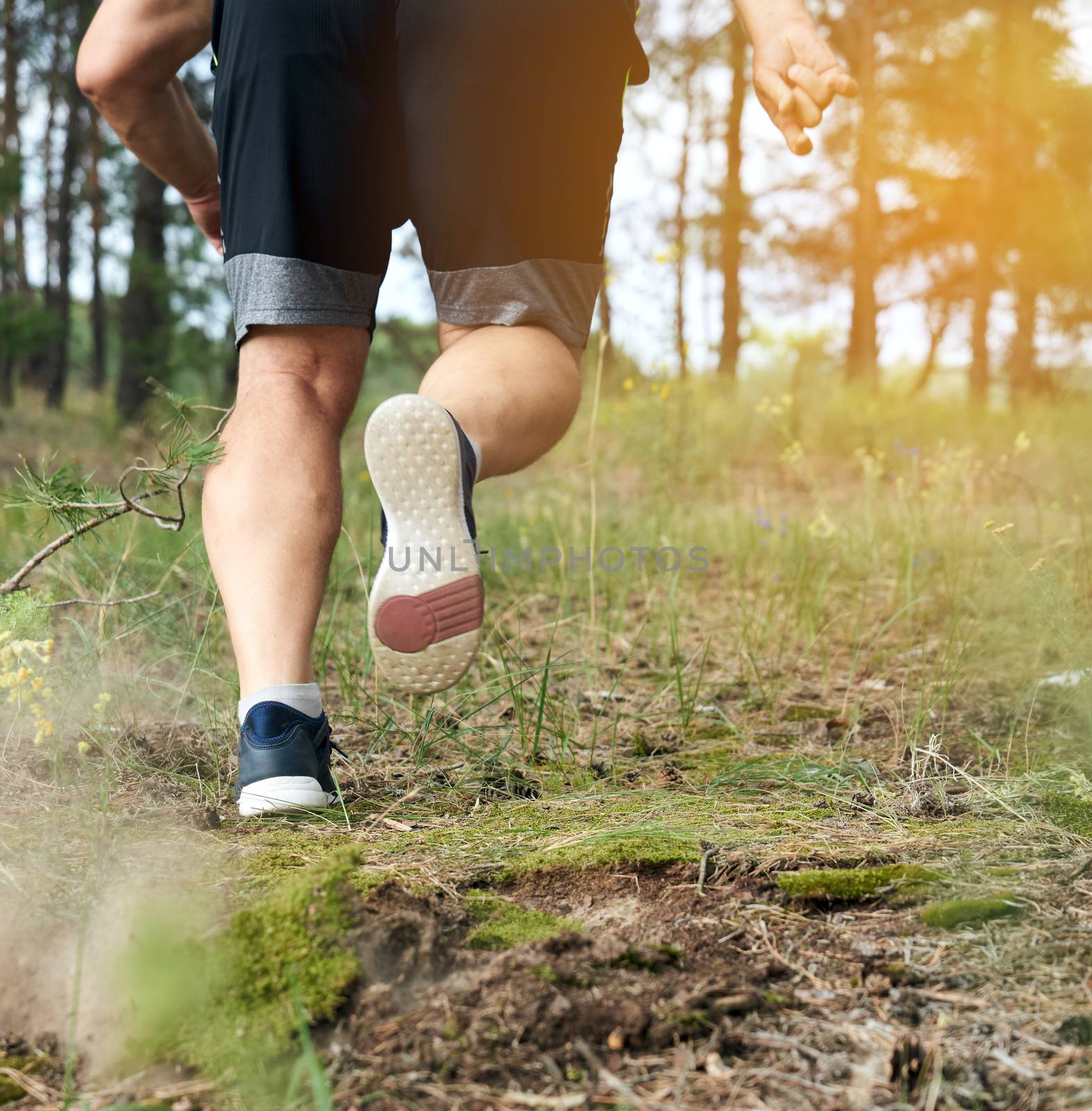 adult man in black shorts runs in the coniferous forest against the bright sun, concept of a healthy lifestyle and running in the fresh air, back view