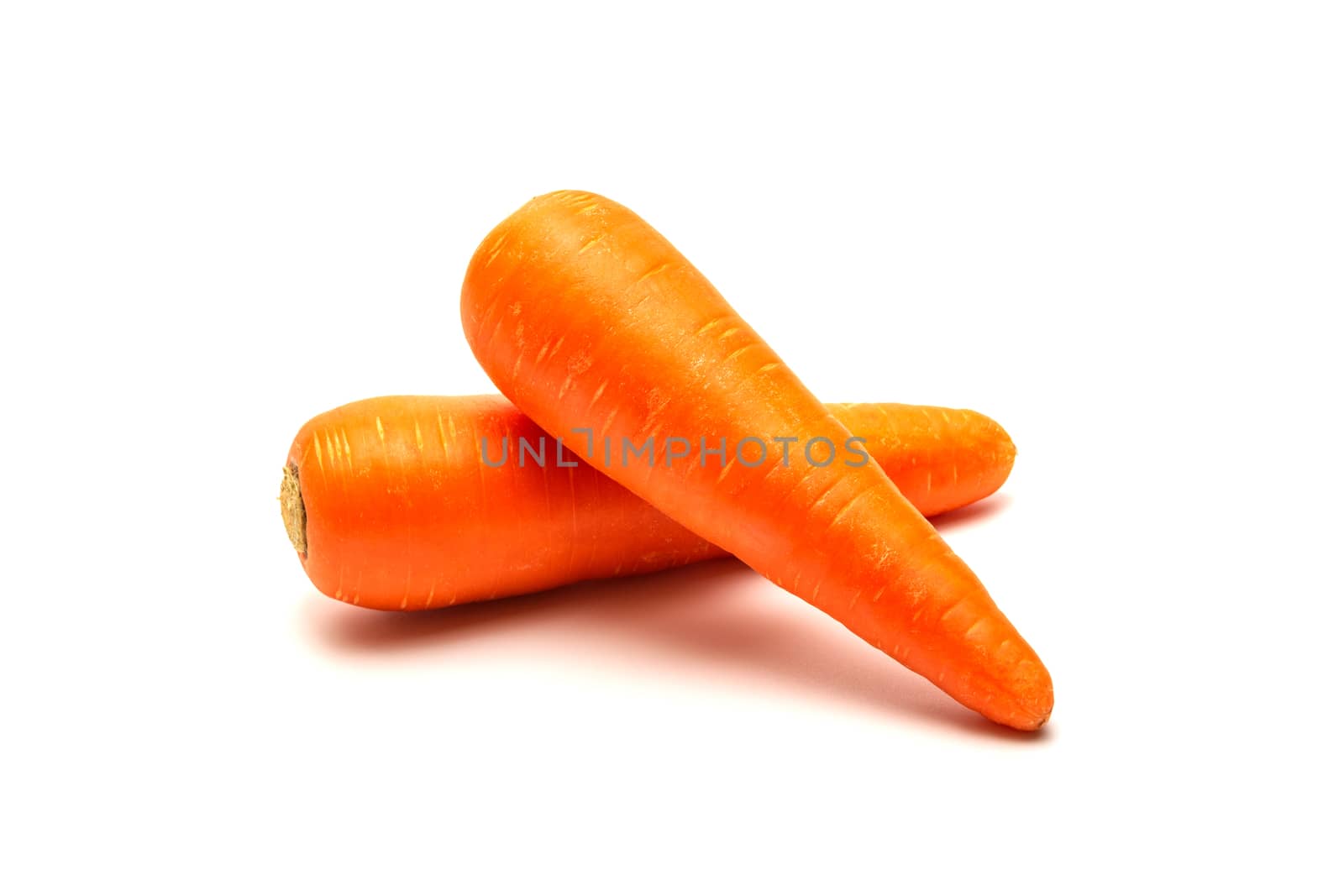Fresh carrots isolated on white background. Close up of Carrots.