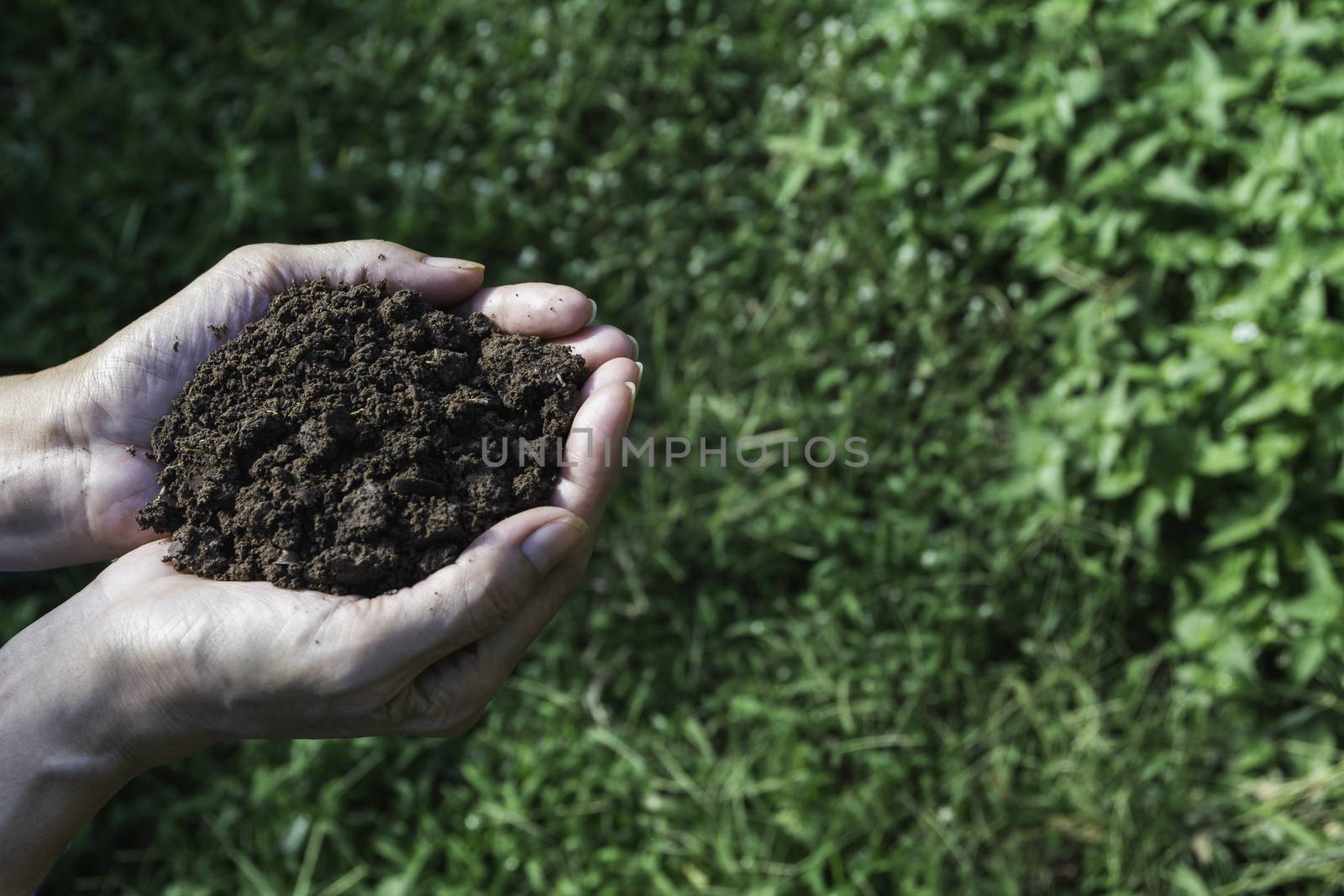 Hand of male holding soil in the hands for planting with copy sp by kirisa99