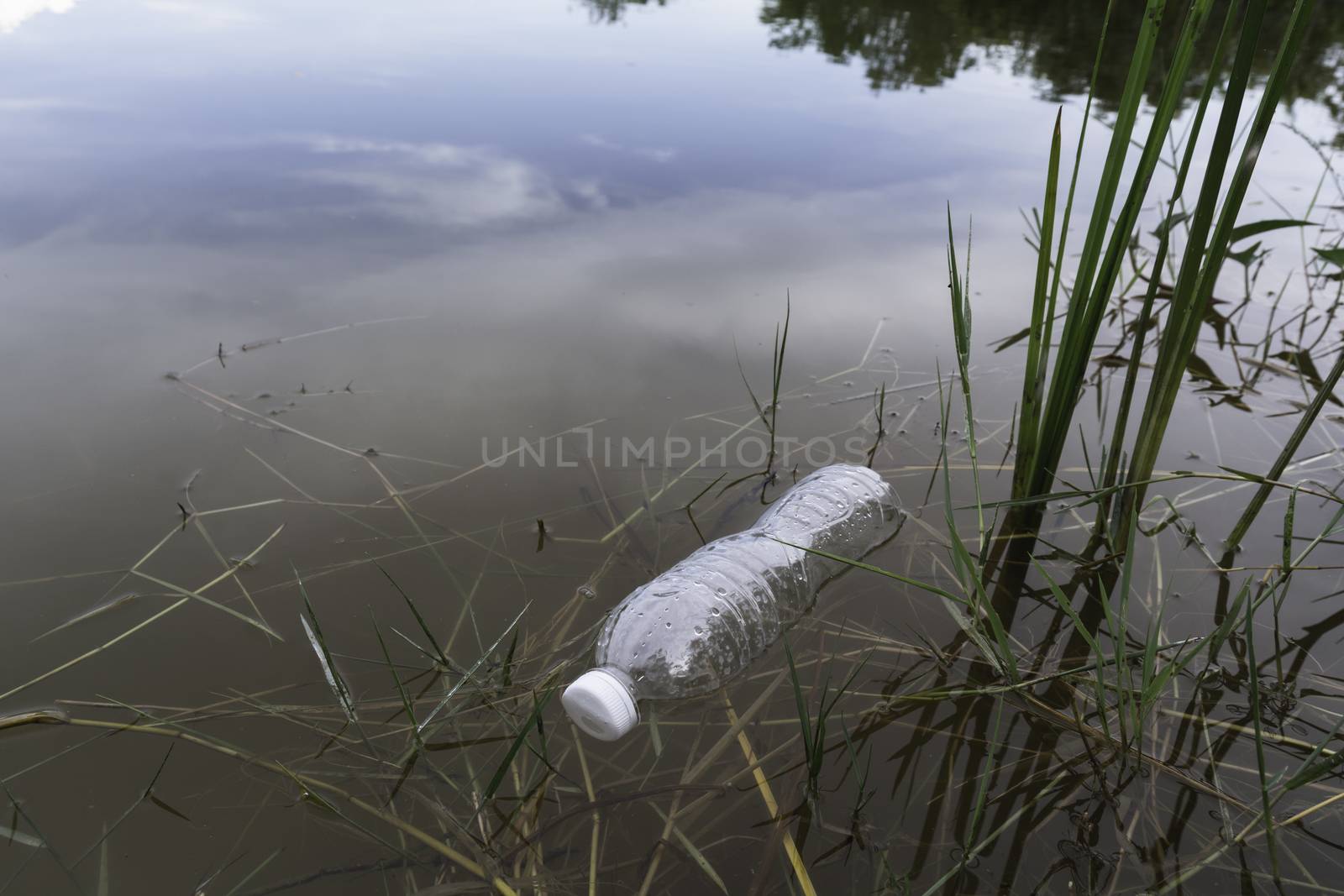 Plastic water bottles pollution in the river. Plastic trash in water. Environmental pollution concept.