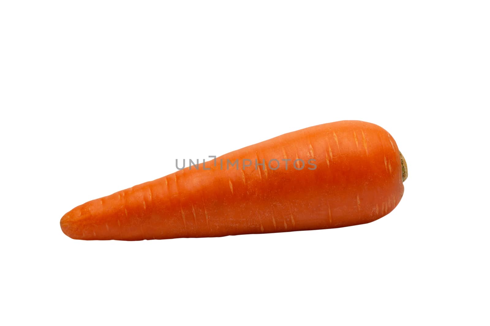 Fresh carrots isolated on white background. Close up of Carrots.