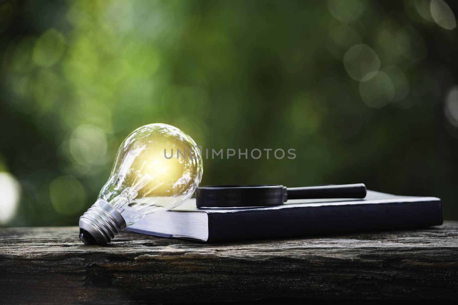 Light bulb and book on wooden table and copy space for insert text.