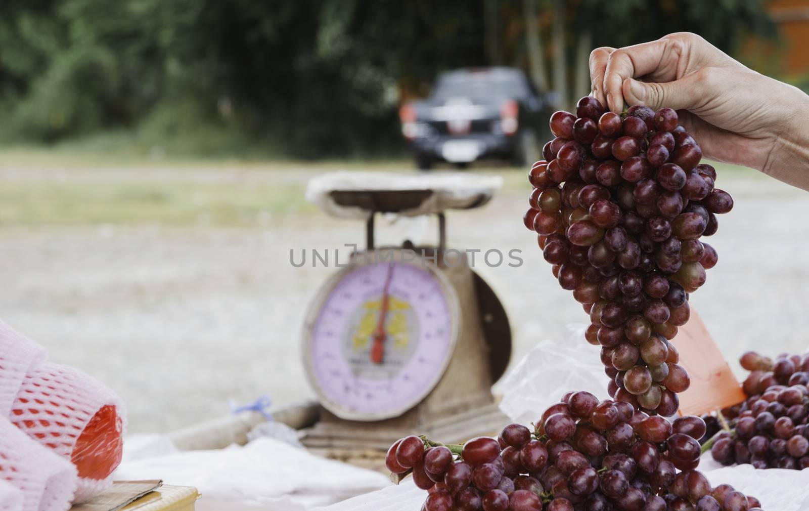 Young woman choosing grape at supermarket. Healthy and lifestyle concept.