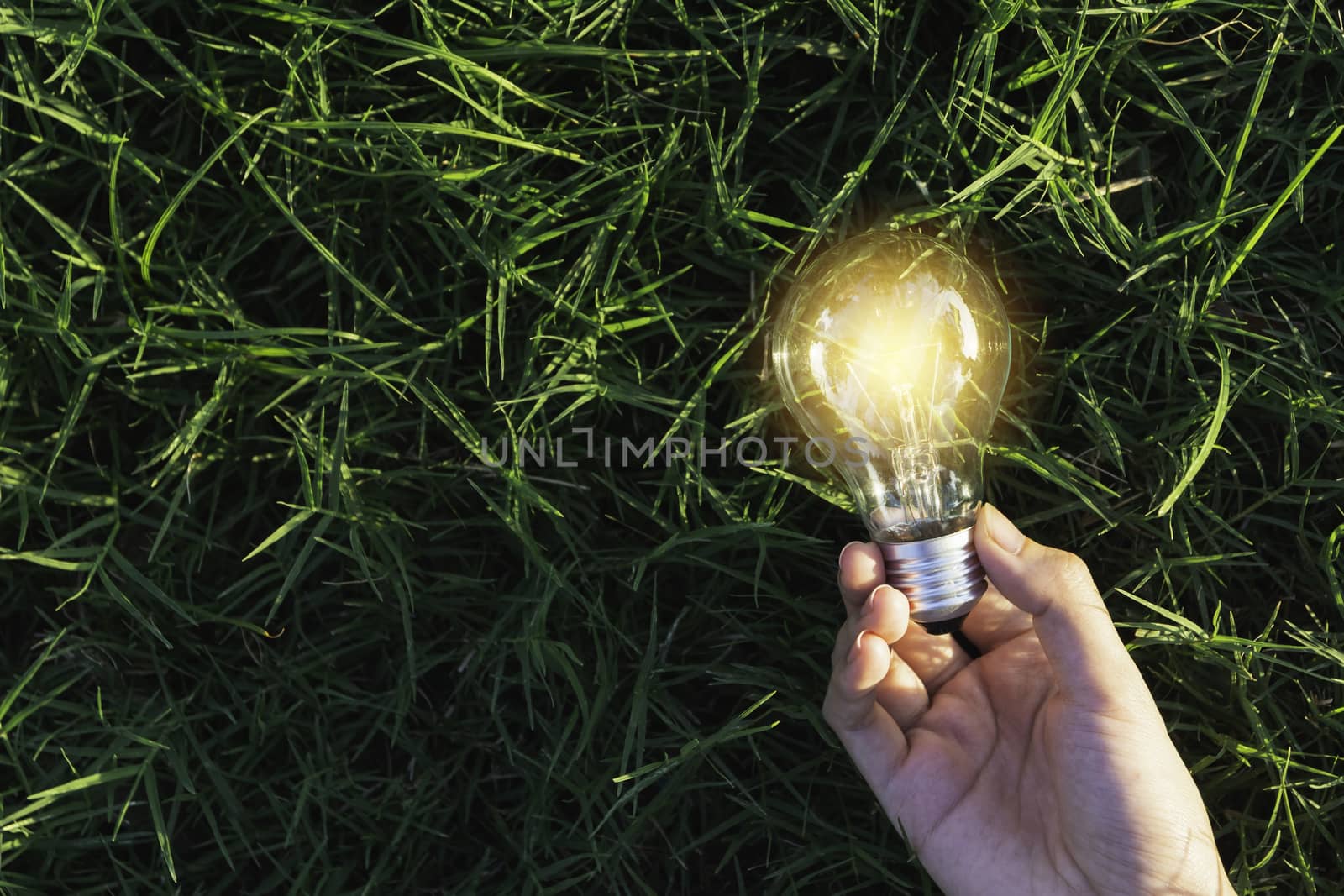 Innovation and energy concept of hand hold a light bulb and copy space for insert text.