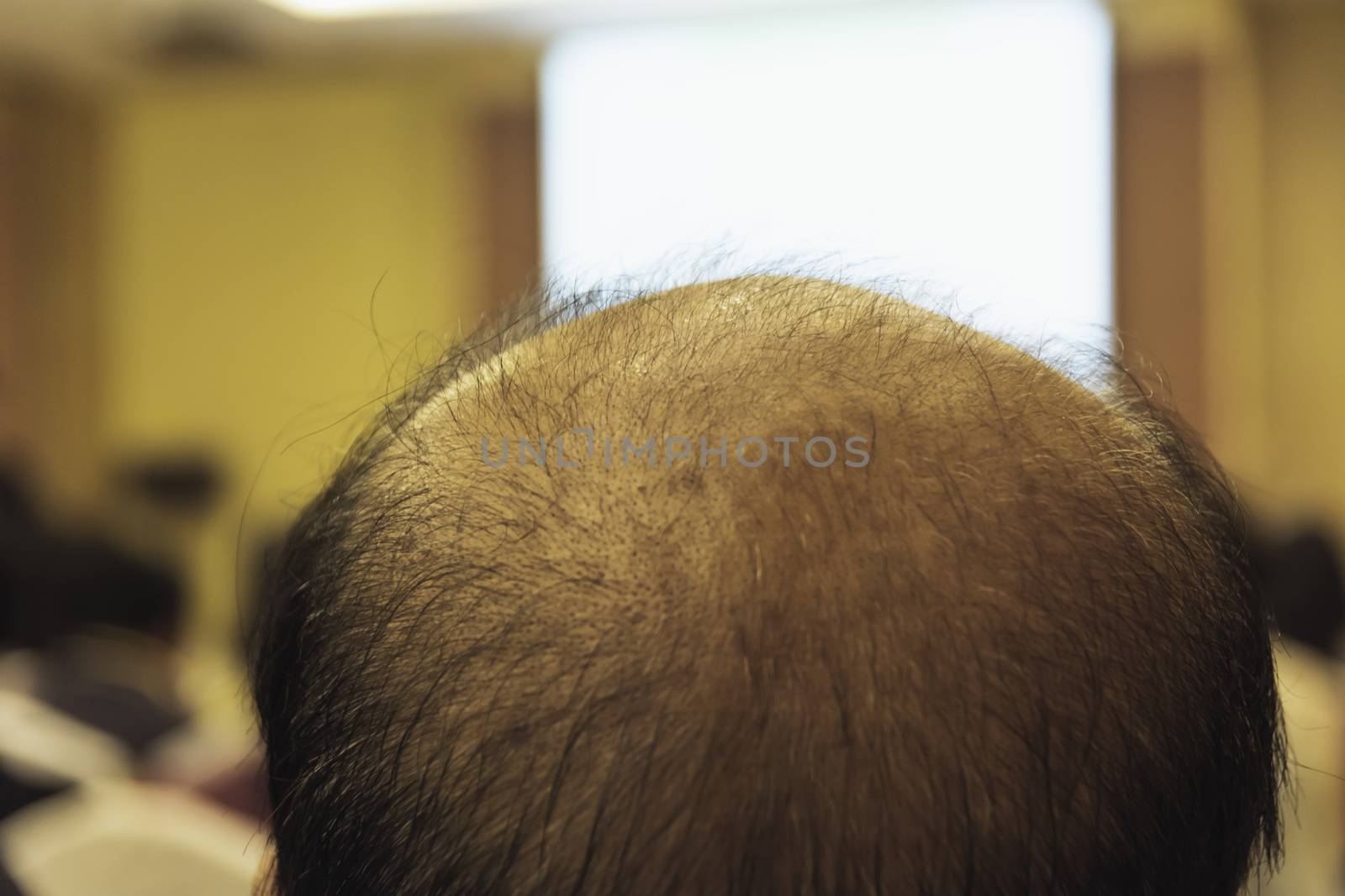 Portrait behind bald man in meeting room.