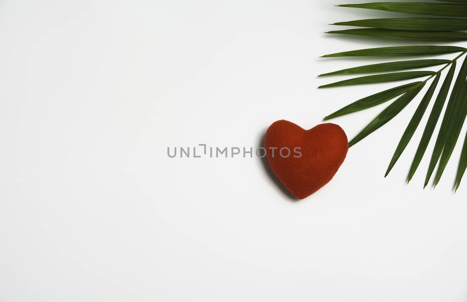 Red heart with green leaf isolated on whtie background. by kirisa99