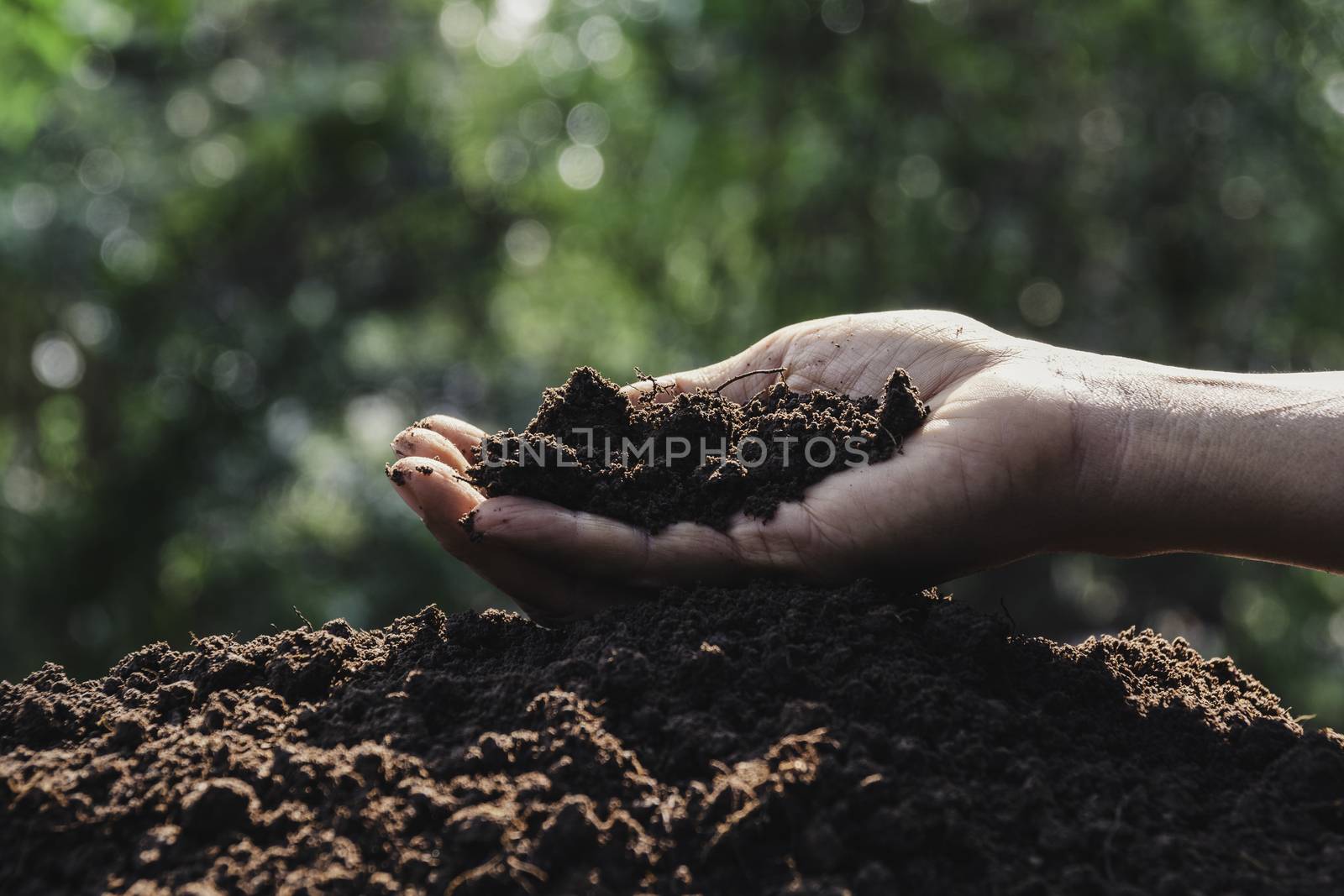 Hand holding soil in the hands for planting with copy space for insert text.