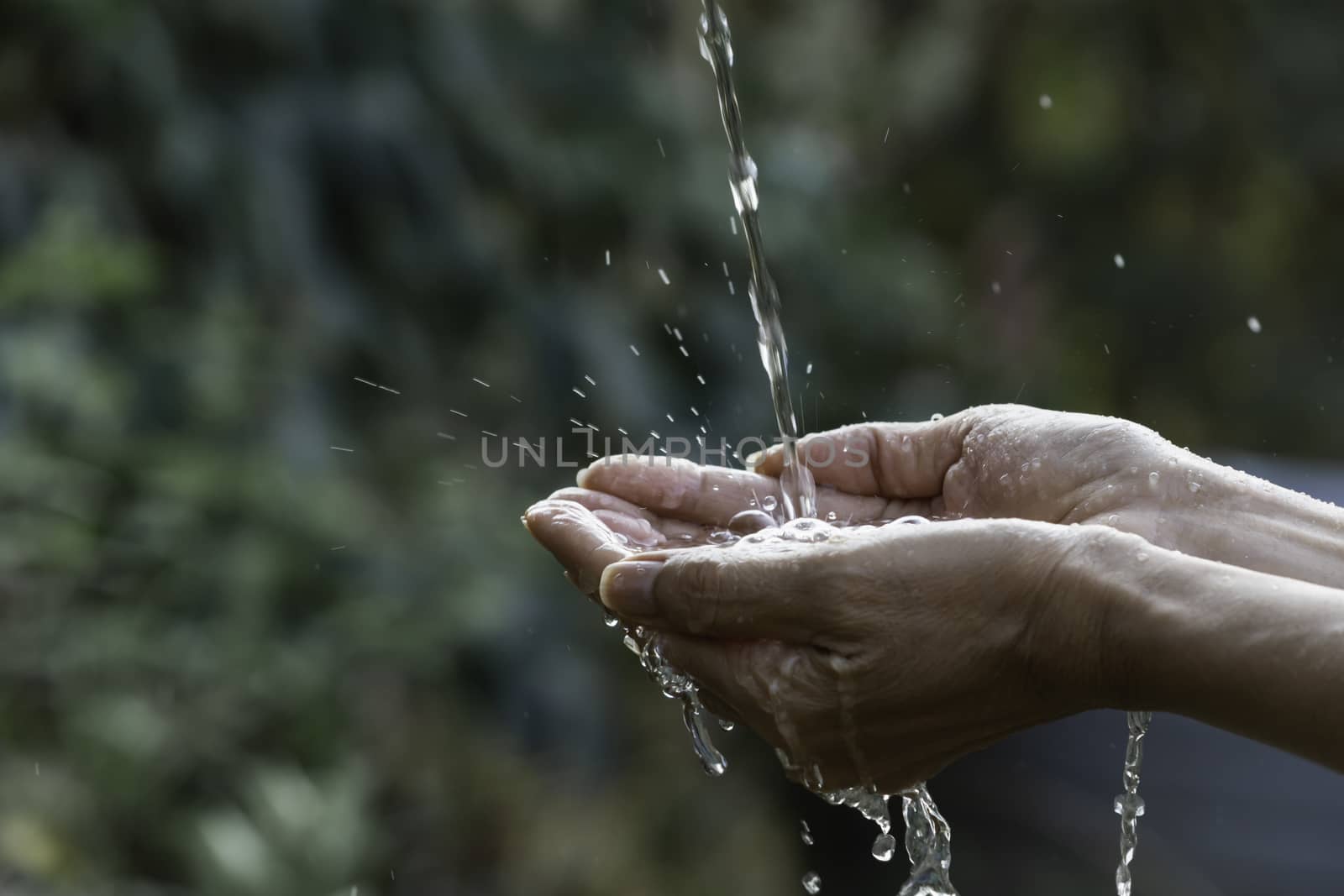 Water pouring on hand with blurred nature background.