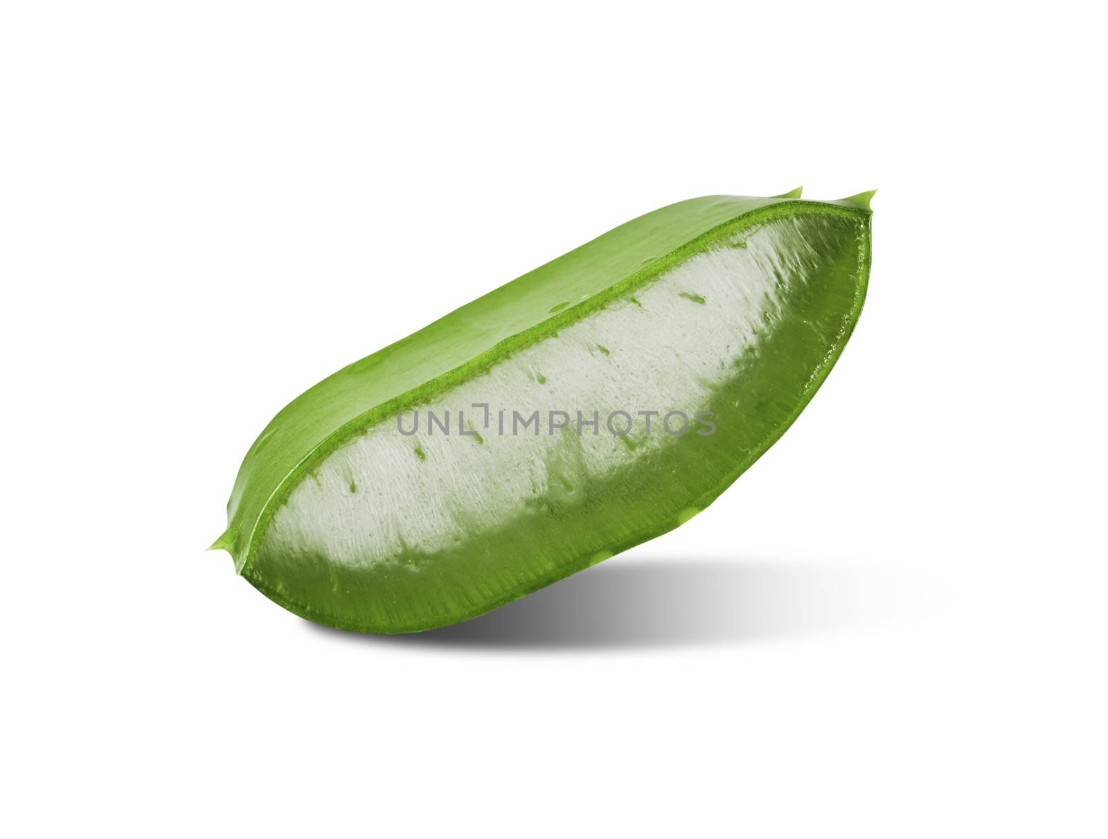 Aloe vera essential oil isolated on a white background. Fresh Aloe vera leaves and clipping path.
