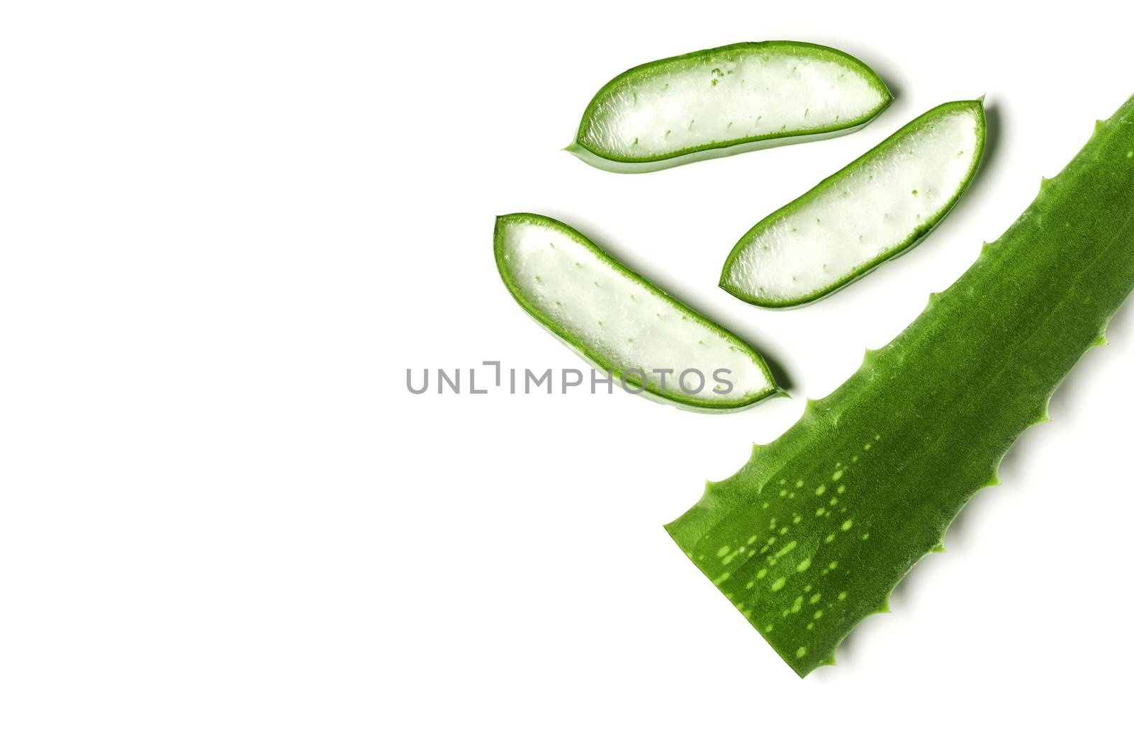 Aloe vera essential oil isolated on a white background. Fresh Aloe vera leaves.