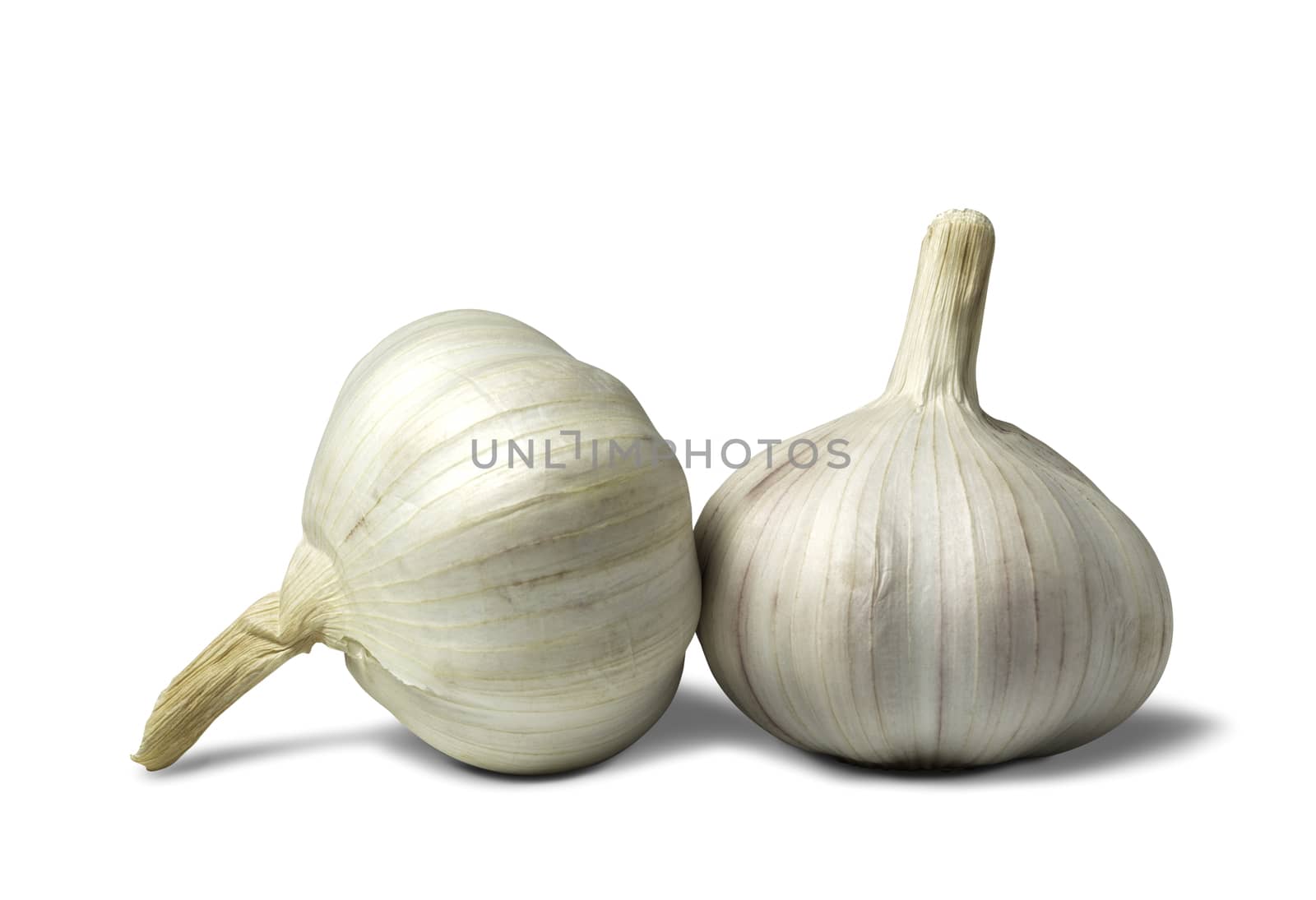 Fresh white garlic with clipping path isolated on a white backgr by kirisa99