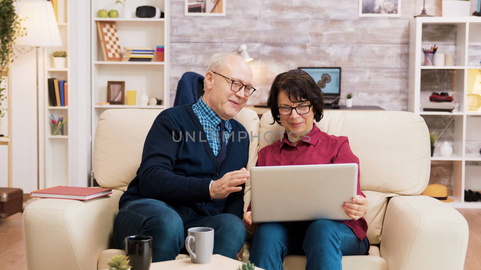 Seniors couple during a video call sitting on the couch in the living room. Aged people using modern technology