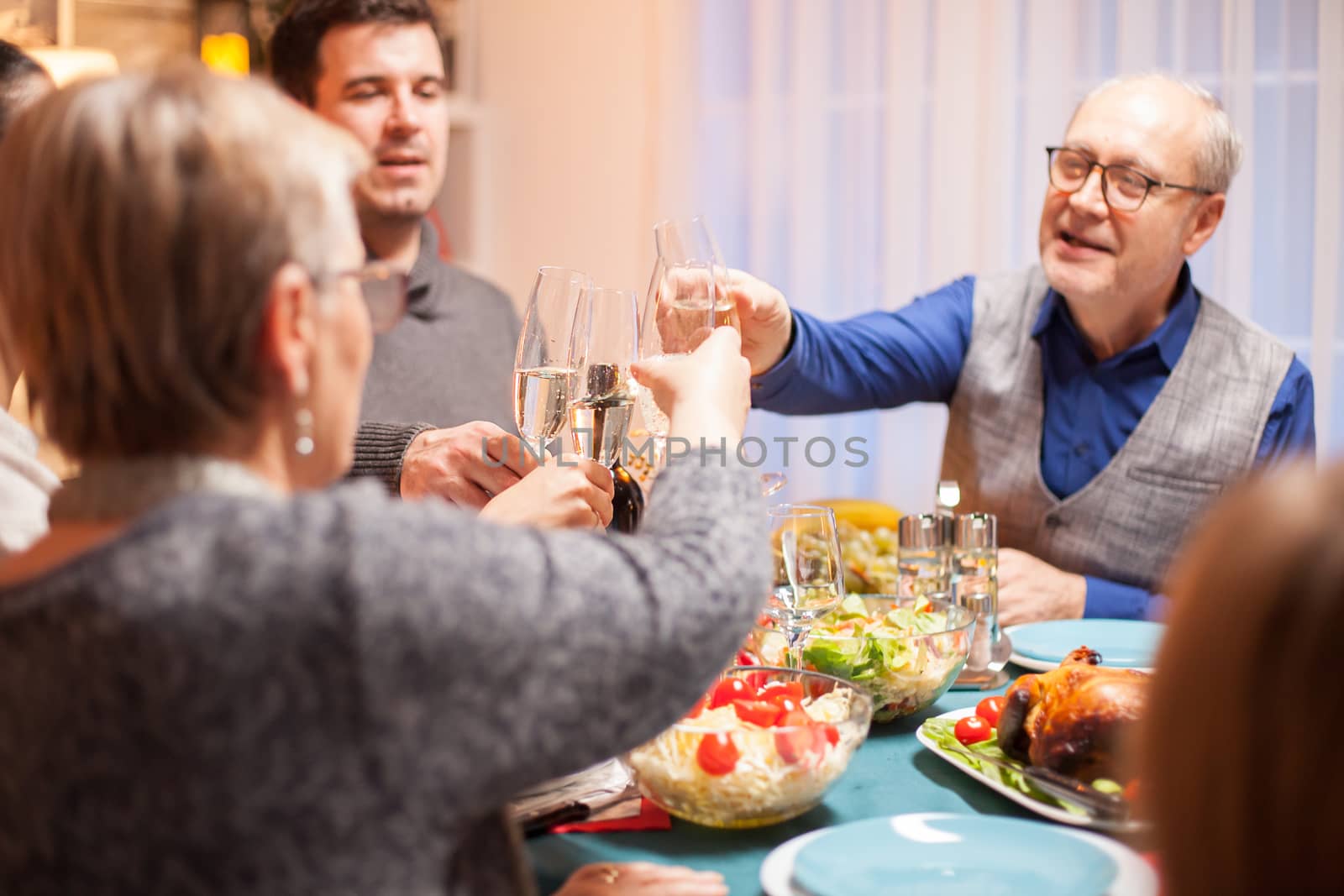 Back view of senior woman clinking a glass of wine with her family at christmas dinner.