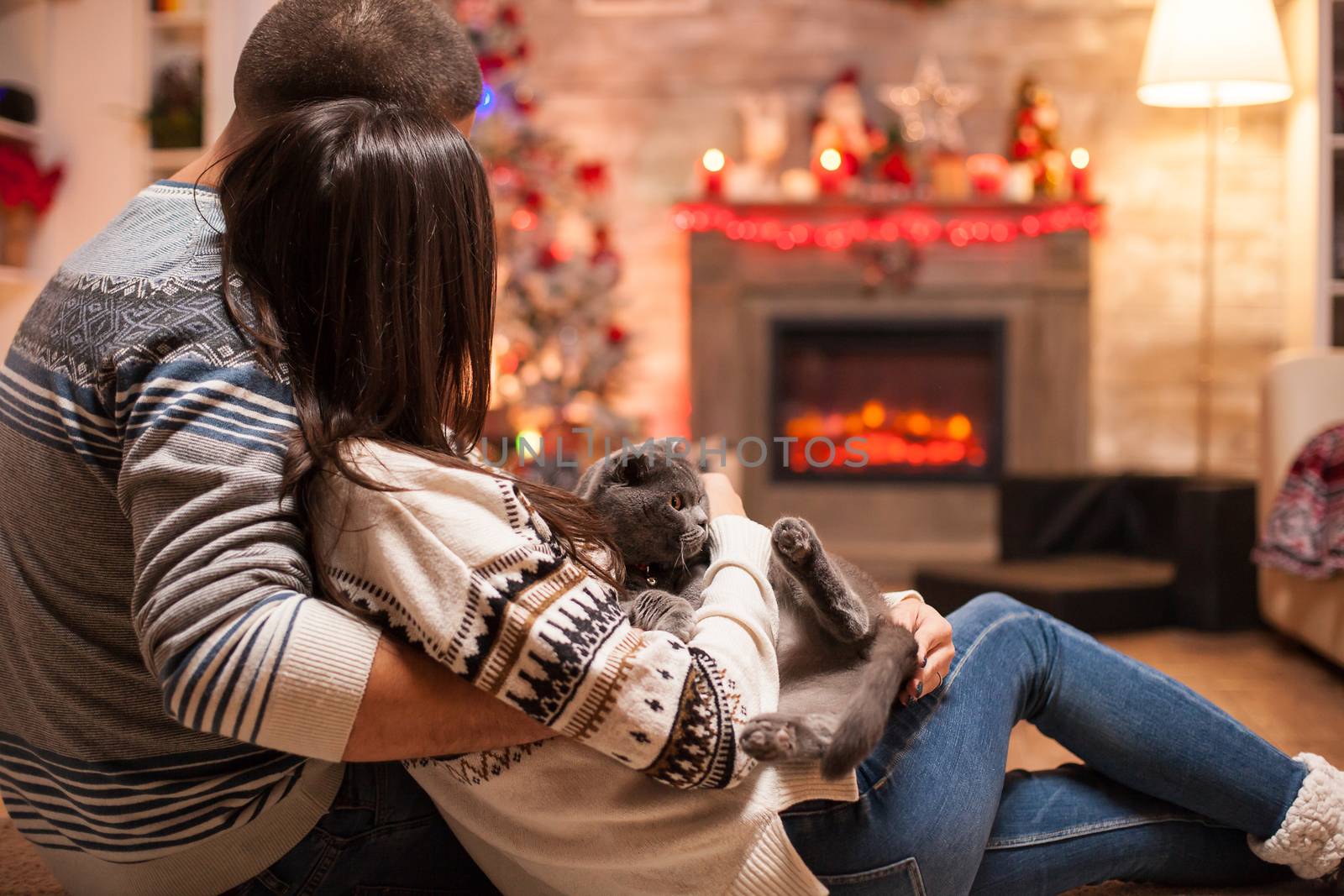 Loving couple and their scottish fold celebrating christmas enjoying the warm of fireplace.