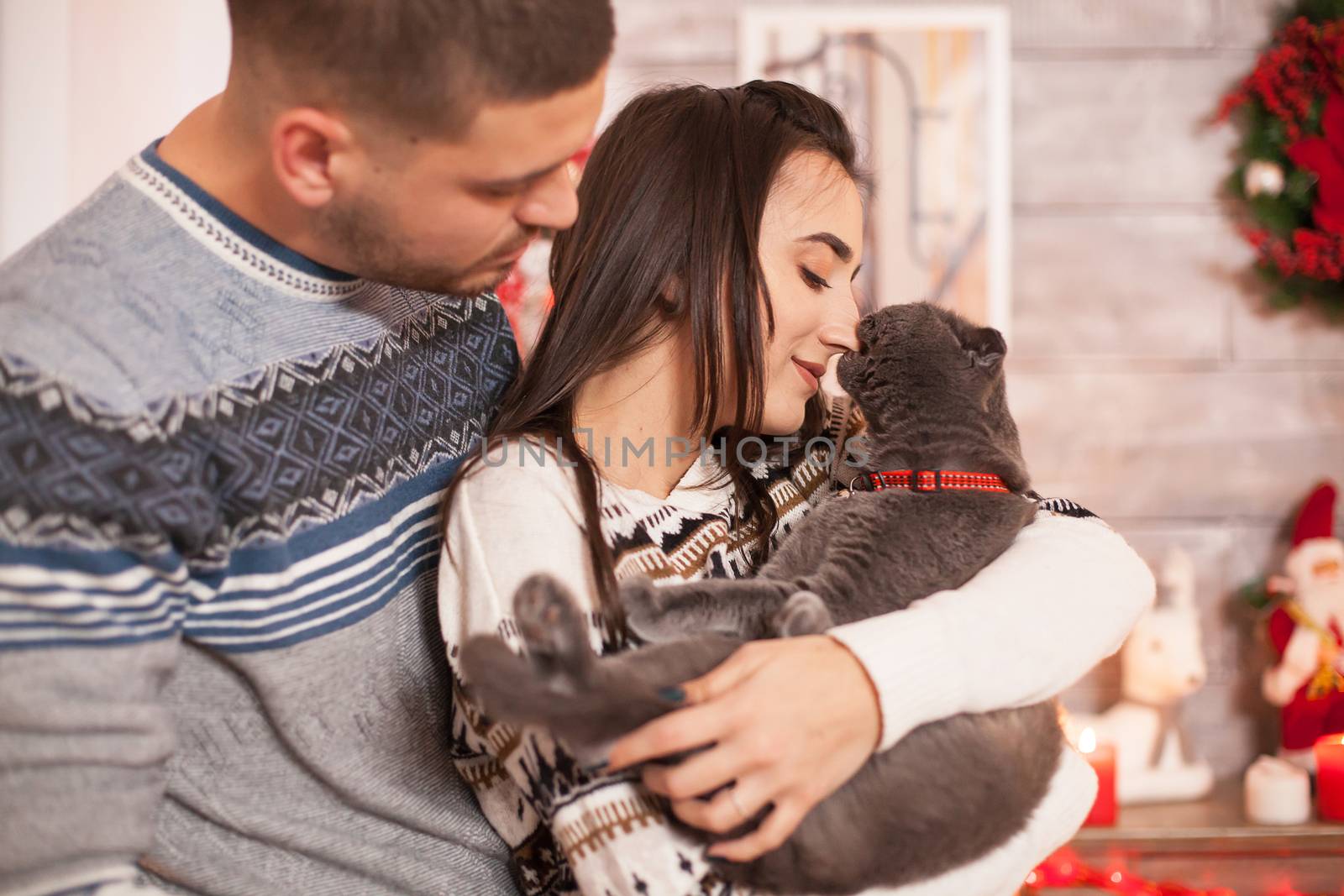 Happy couple looking at their cat on christmas day.