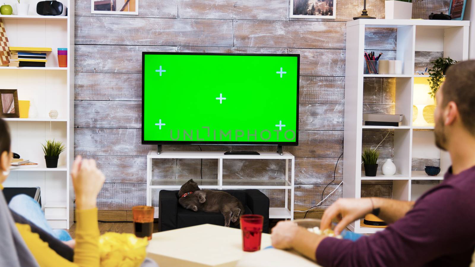 Back view of young couple sitting on chairs looking at tv with green screen, eating popcorn with the cat watching them.