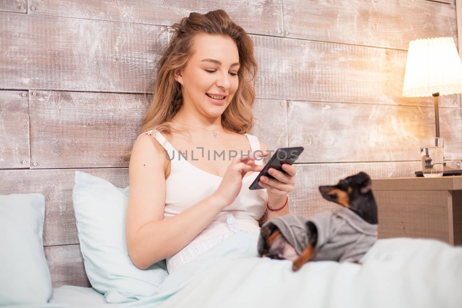 Beautiful woman in pajamas smiling while using her phone at night in bed. Little dog.