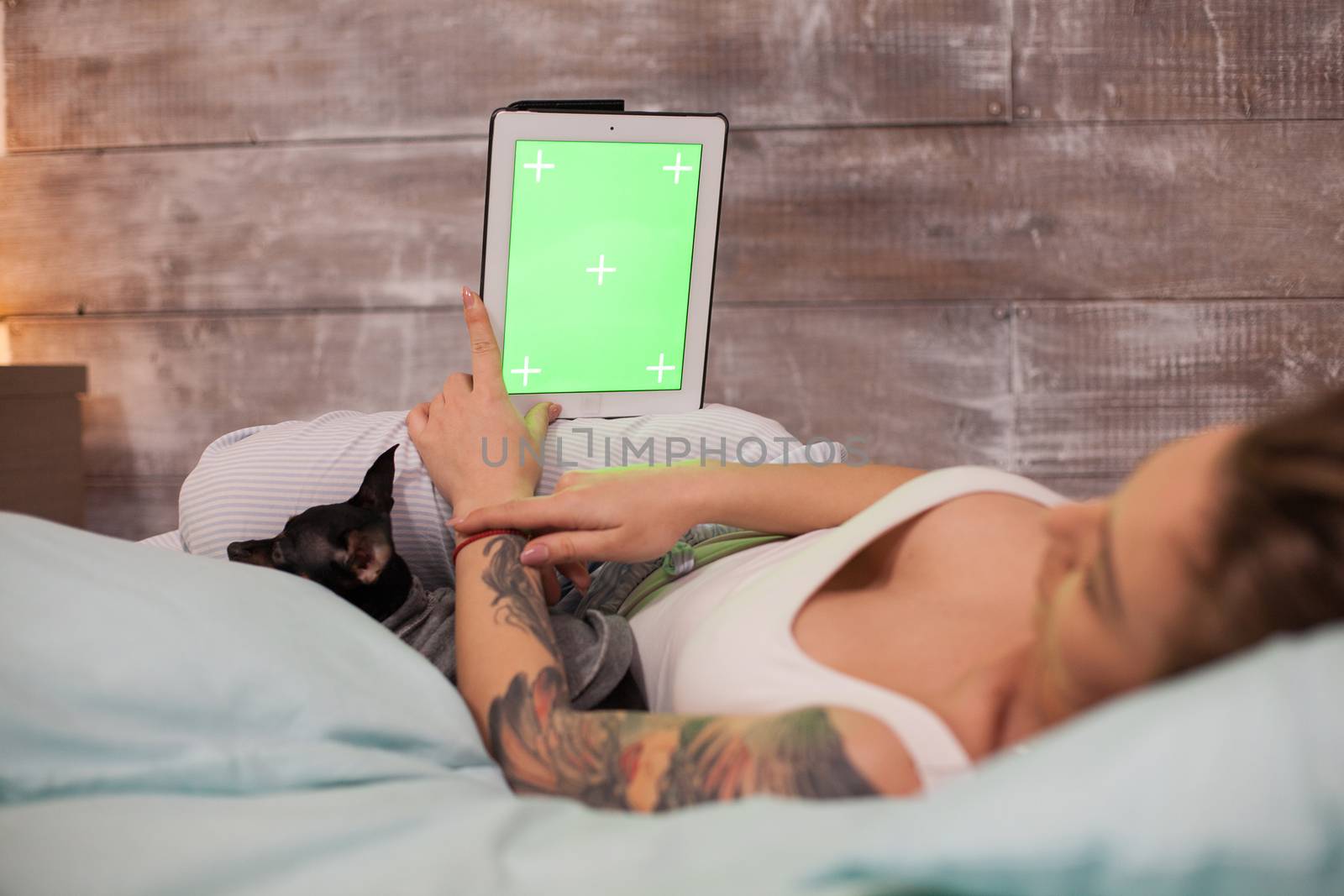 Young woman lying comfortable in bed with her dog using tablet computer with green mockup.