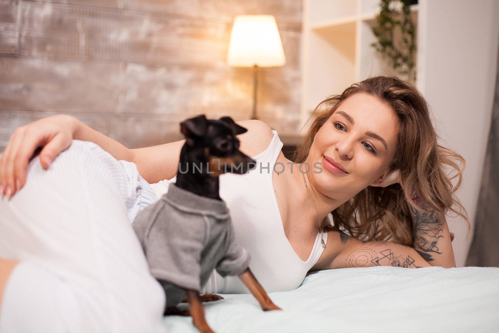 Relaxed young woman and her dog spending time in bed. Attractive woman in pajamas.