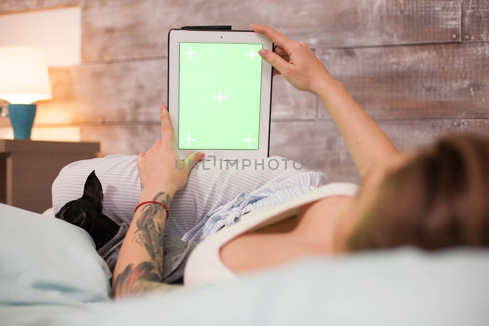 Little dog sleeping next to beautiful woman in pajamas using tablet computer with green screen.