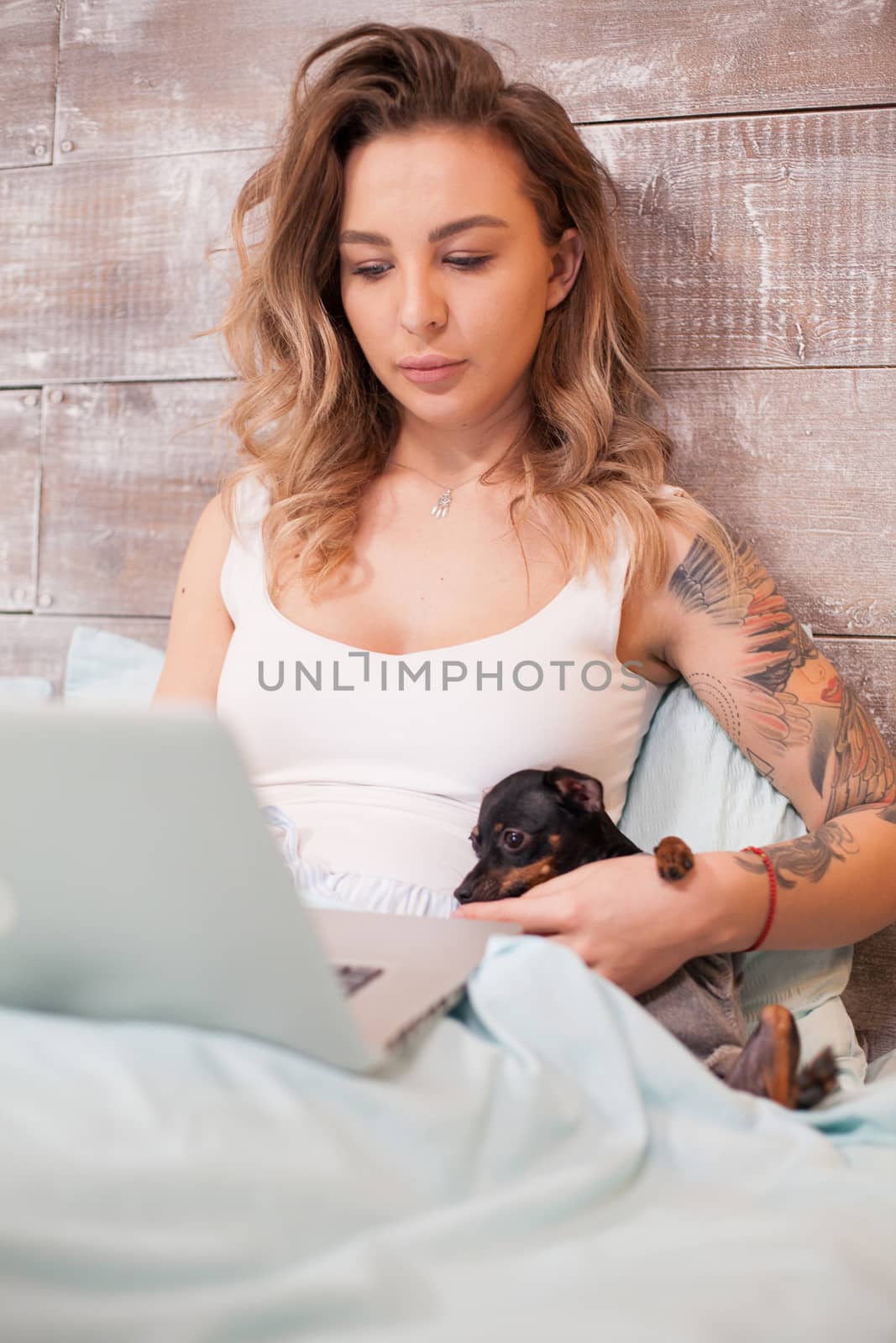 Attractive woman in pajamas browsing on laptop by DCStudio