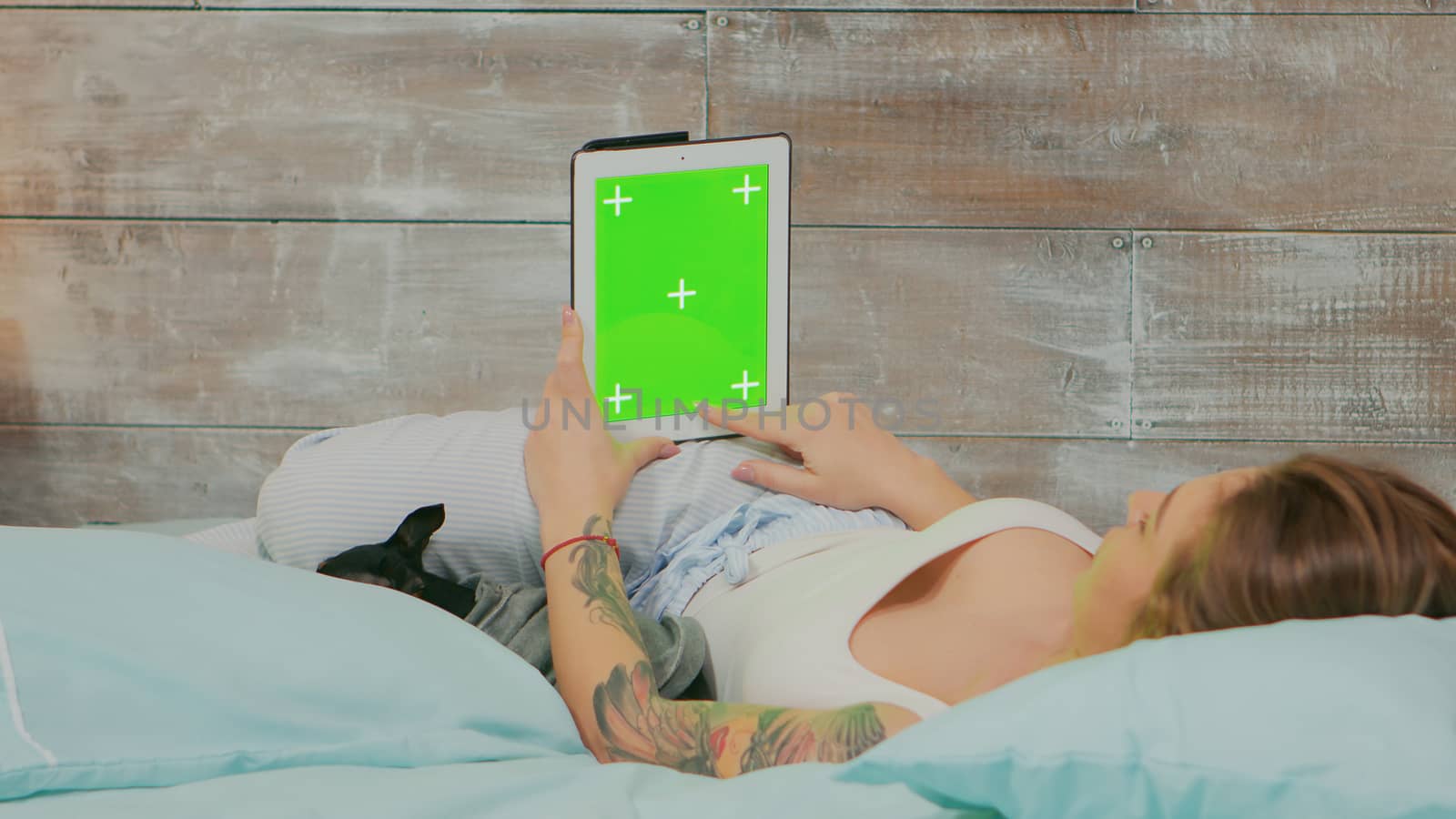 Back view of woman in pajamas holding tablet computer with greens screen. Happy dog in bed.